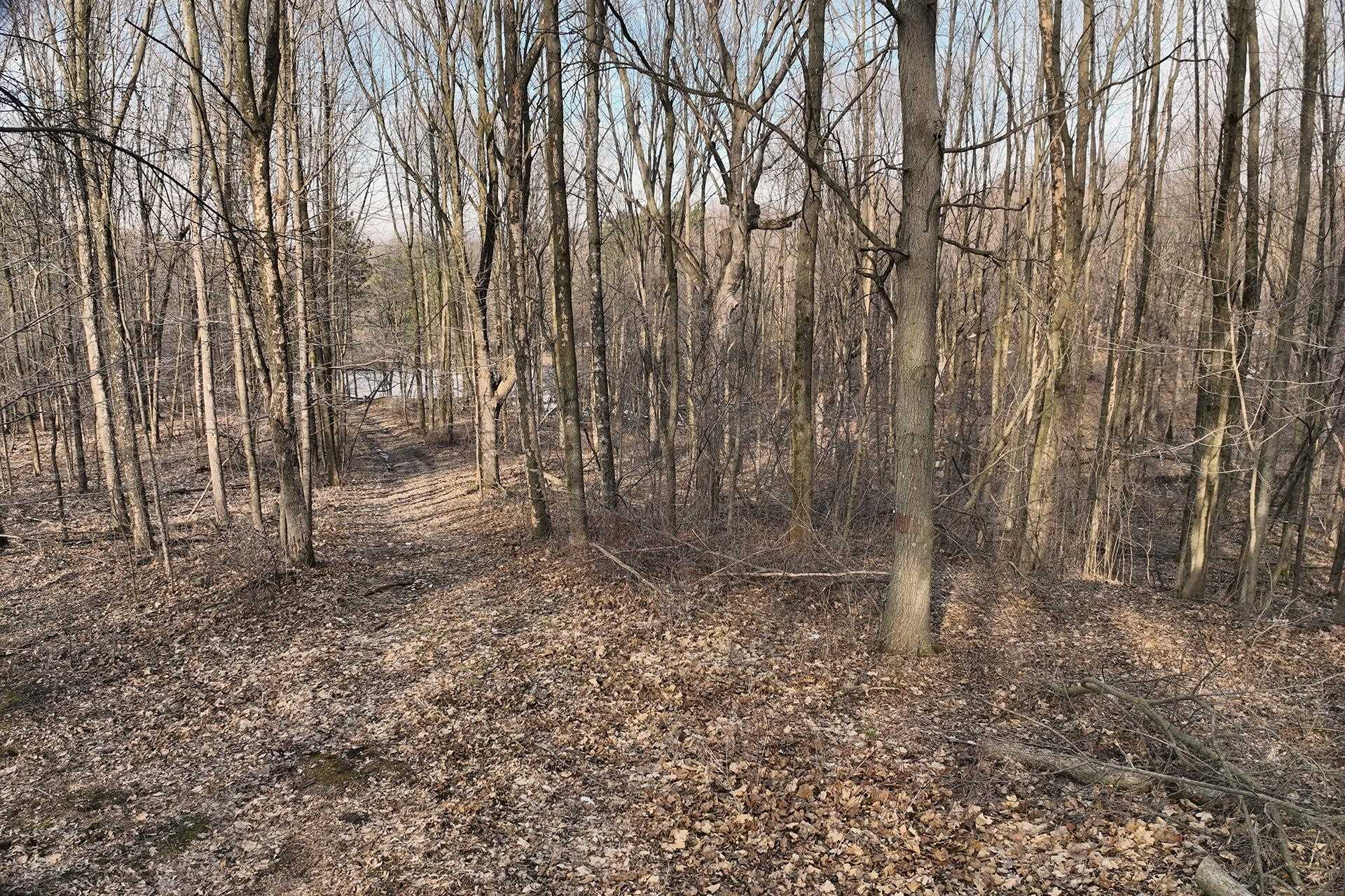 8.24 Acres RIDGE ROAD, Neillsville, Wisconsin 54456, ,Land,For Sale,8.24 Acres RIDGE ROAD,22601171