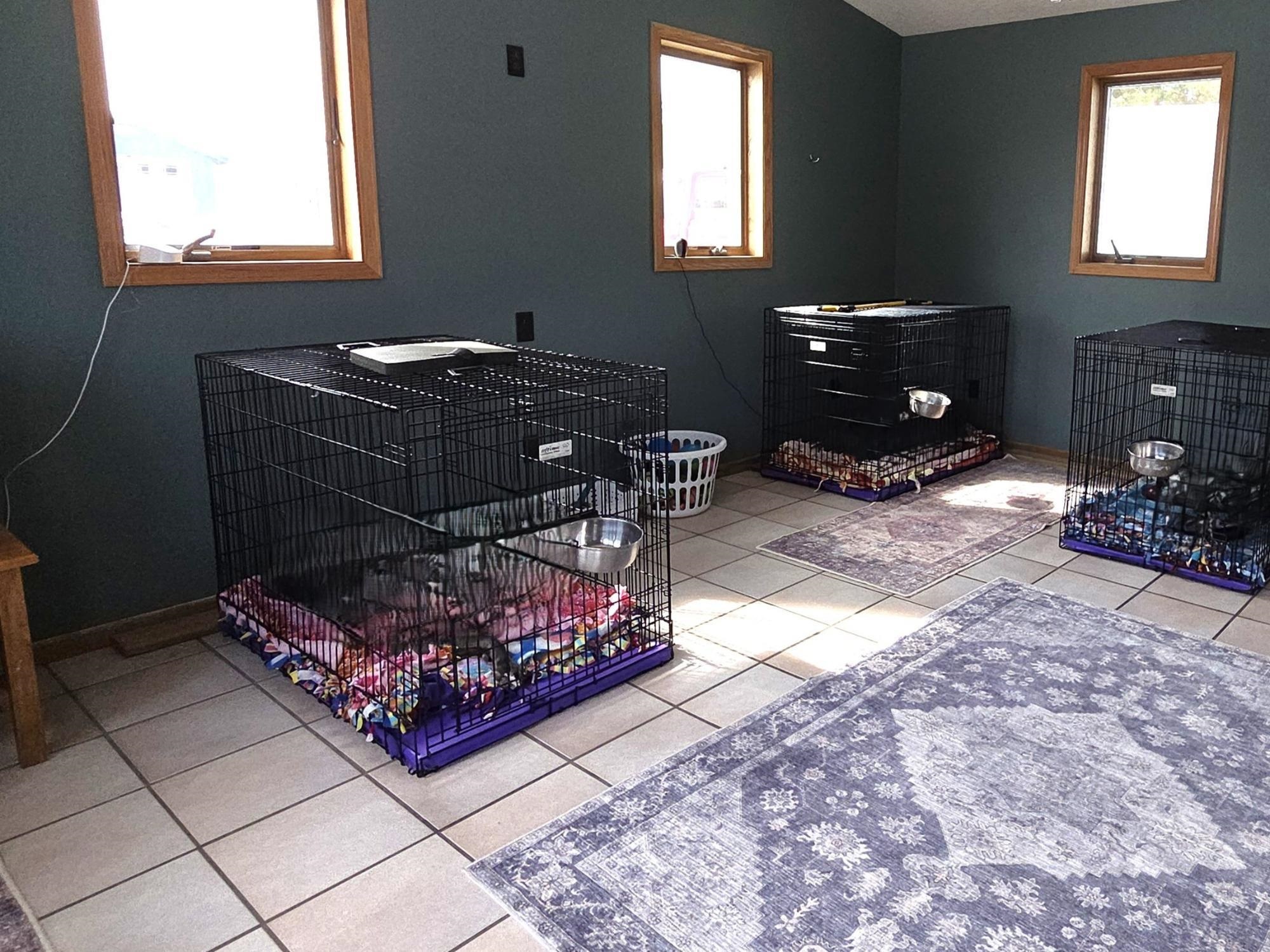W4699 CTH S, Irma, Wisconsin 54442, 3 Bedrooms Bedrooms, ,2 BathroomsBathrooms,Residential,For Sale,W4699 CTH S,22601176