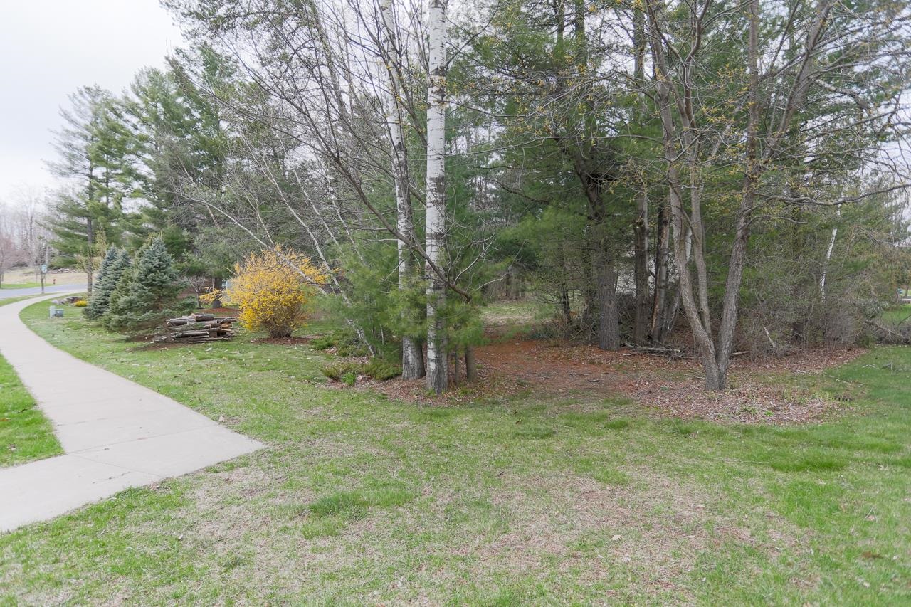 210 BLUESTONE DRIVE, Wausau, Wisconsin 54401, ,Land,For Sale,210 BLUESTONE DRIVE,22601202