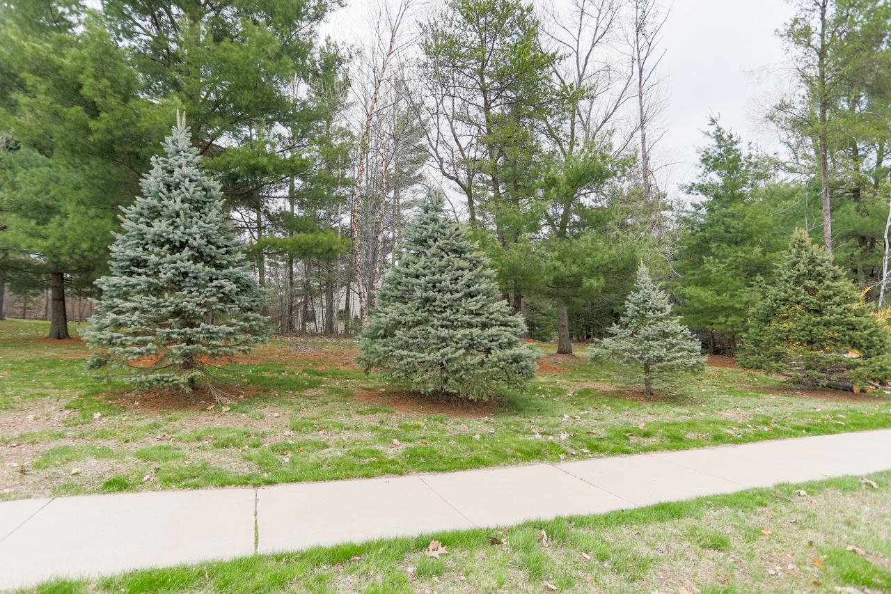 210 BLUESTONE DRIVE, Wausau, Wisconsin 54401, ,Land,For Sale,210 BLUESTONE DRIVE,22601202