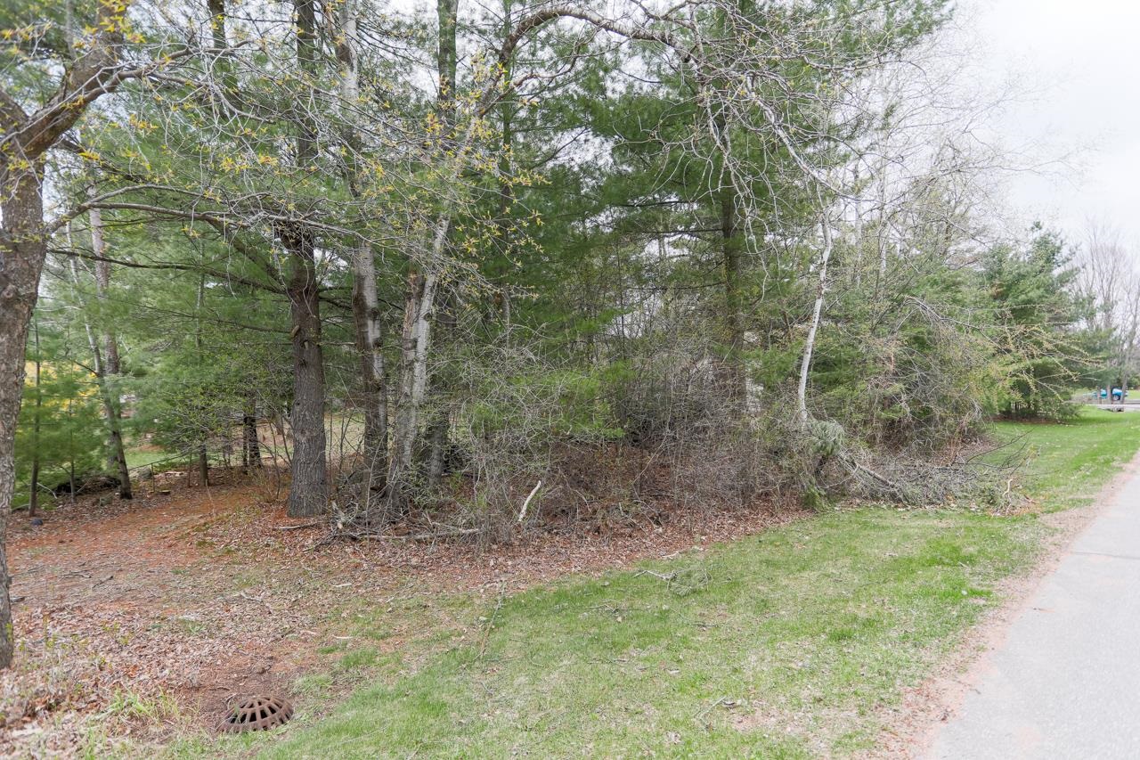210 BLUESTONE DRIVE, Wausau, Wisconsin 54401, ,Land,For Sale,210 BLUESTONE DRIVE,22601202