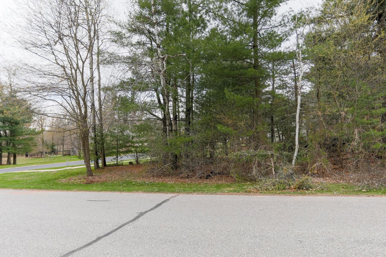 210 BLUESTONE DRIVE, Wausau, Wisconsin 54401, ,Land,For Sale,210 BLUESTONE DRIVE,22601202