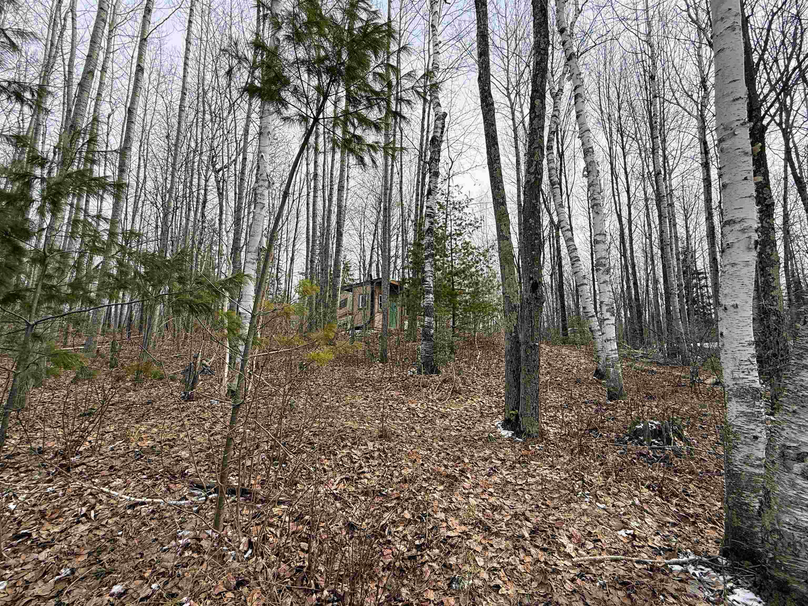 N12815 SAILOR LAKE ROAD, Park Falls, Wisconsin 54552, 1 Bedroom Bedrooms, ,Residential,For Sale,N12815 SAILOR LAKE ROAD,22601208