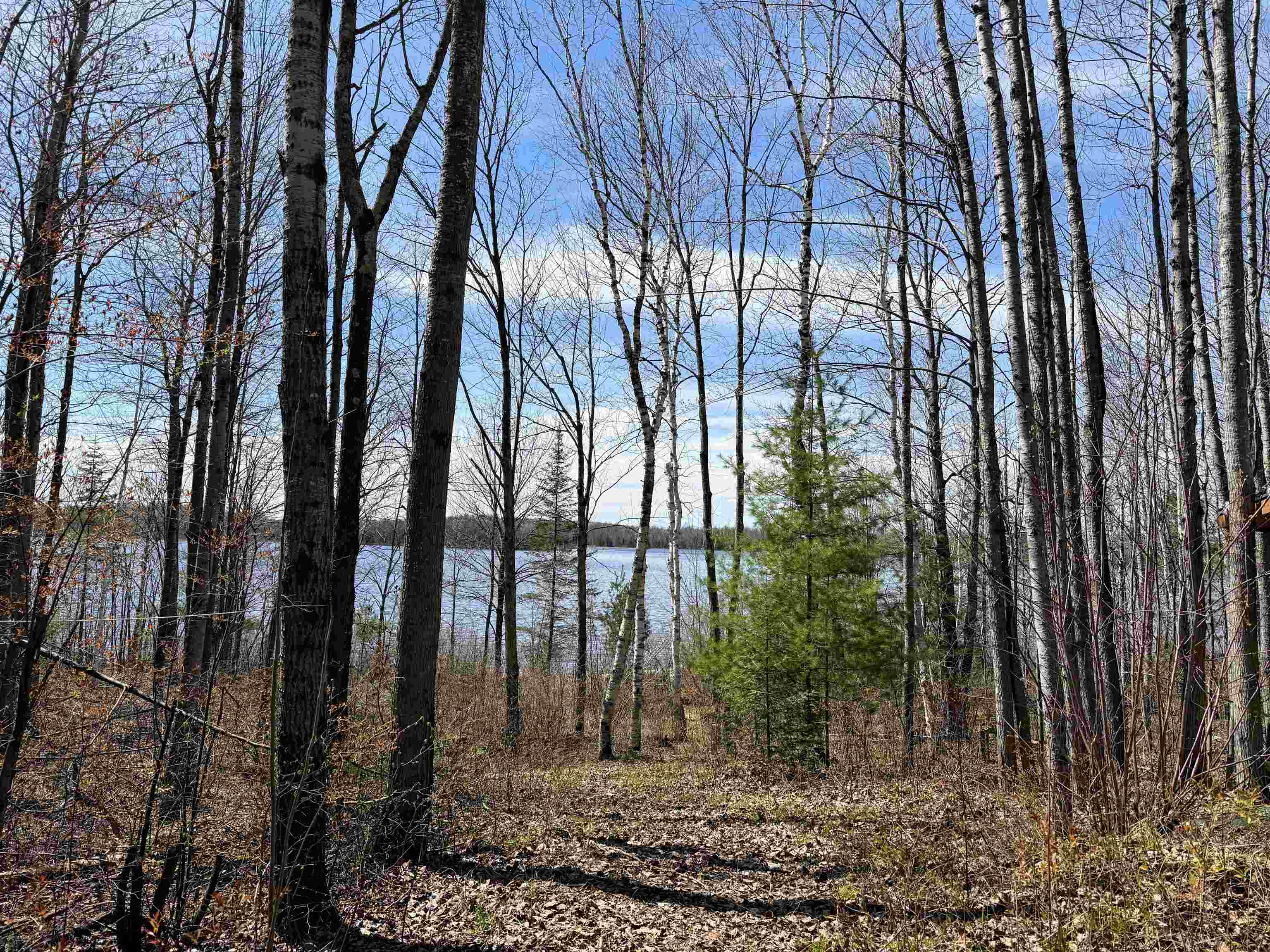 N12815 SAILOR LAKE ROAD, Park Falls, Wisconsin 54552, 1 Bedroom Bedrooms, ,Residential,For Sale,N12815 SAILOR LAKE ROAD,22601208
