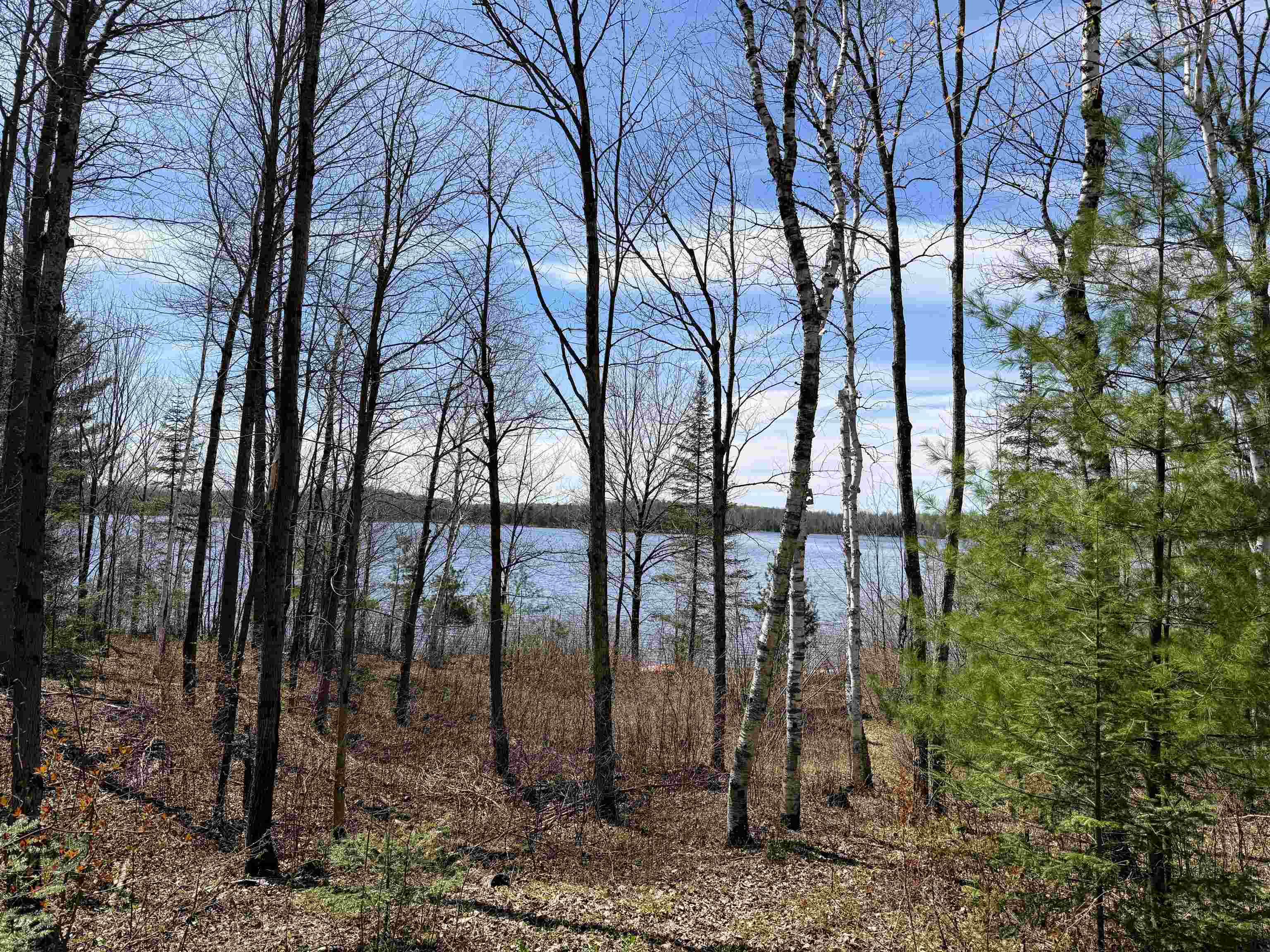 N12815 SAILOR LAKE ROAD, Park Falls, Wisconsin 54552, 1 Bedroom Bedrooms, ,Residential,For Sale,N12815 SAILOR LAKE ROAD,22601208