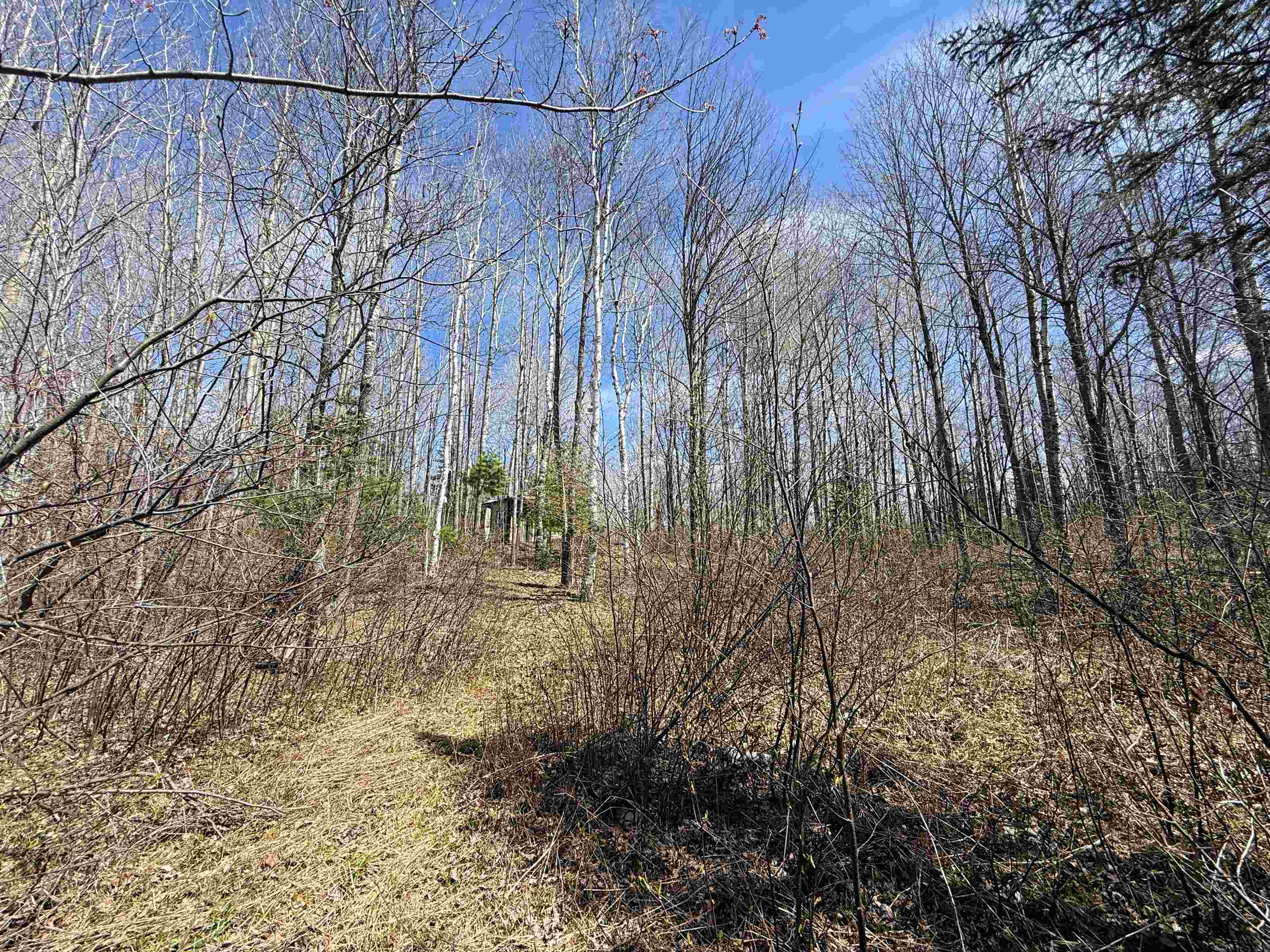 N12815 SAILOR LAKE ROAD, Park Falls, Wisconsin 54552, 1 Bedroom Bedrooms, ,Residential,For Sale,N12815 SAILOR LAKE ROAD,22601208
