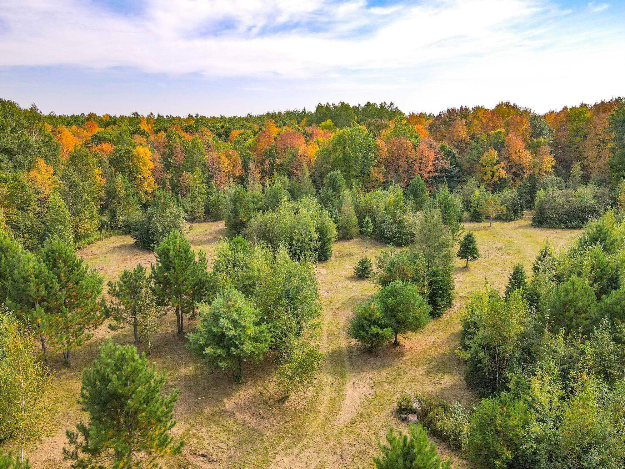 72281 HENNES ROAD, Glidden, Wisconsin 54527, ,Land,For Sale,72281 HENNES ROAD,22601224