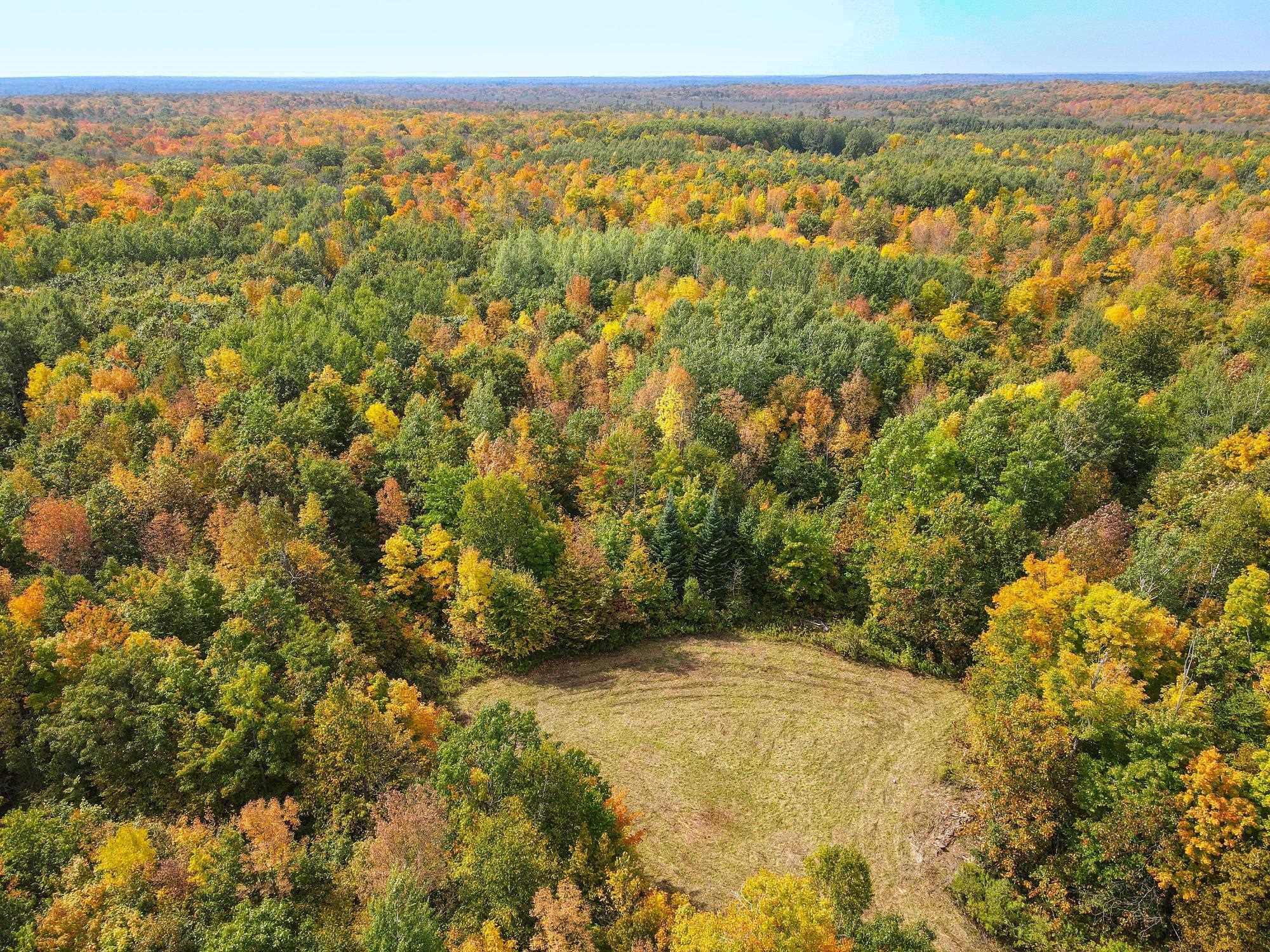 72281 HENNES ROAD, Glidden, Wisconsin 54527, ,Land,For Sale,72281 HENNES ROAD,22601224
