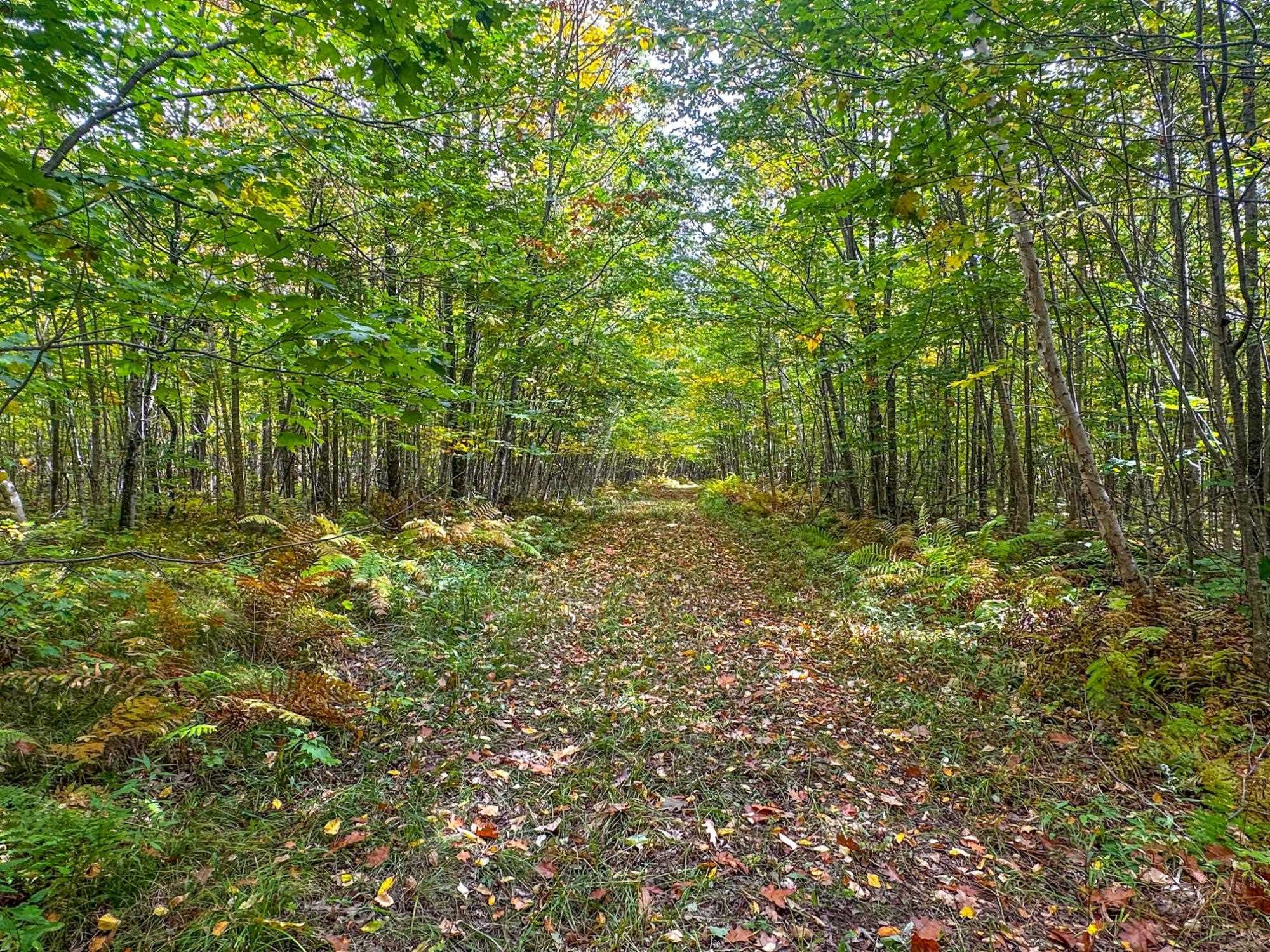 72281 HENNES ROAD, Glidden, Wisconsin 54527, ,Land,For Sale,72281 HENNES ROAD,22601224