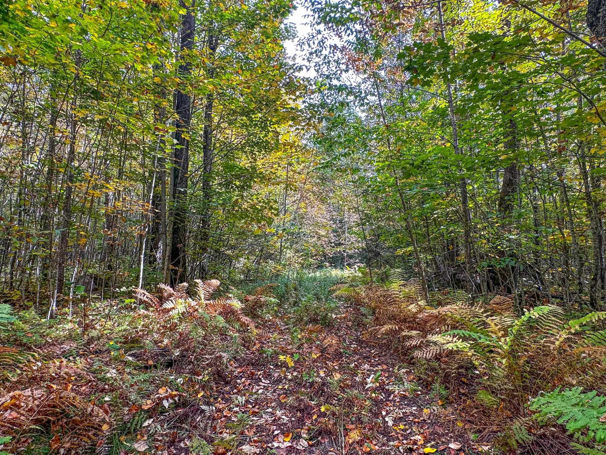 72281 HENNES ROAD, Glidden, Wisconsin 54527, ,Land,For Sale,72281 HENNES ROAD,22601224