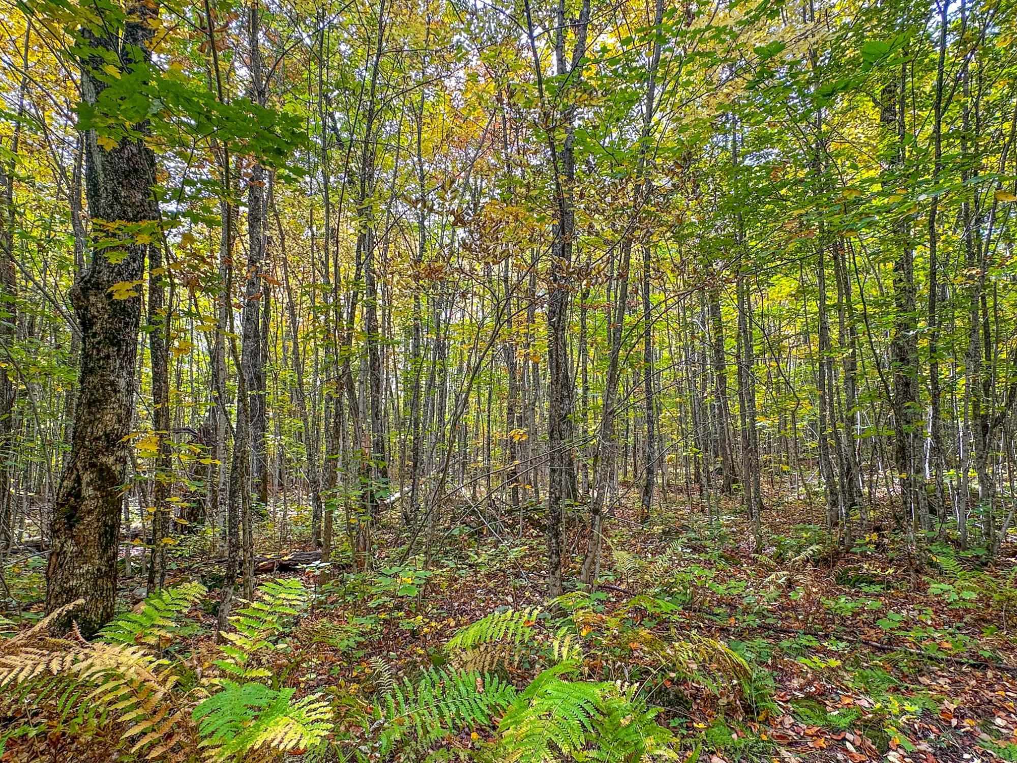 72281 HENNES ROAD, Glidden, Wisconsin 54527, ,Land,For Sale,72281 HENNES ROAD,22601224