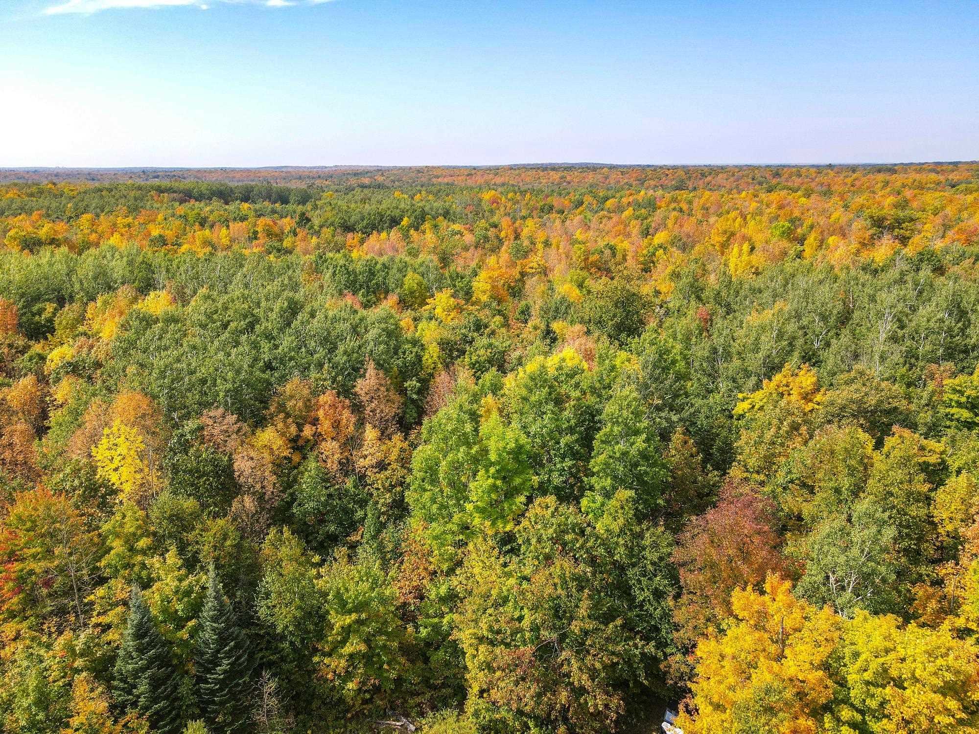 72281 HENNES ROAD, Glidden, Wisconsin 54527, ,Land,For Sale,72281 HENNES ROAD,22601224