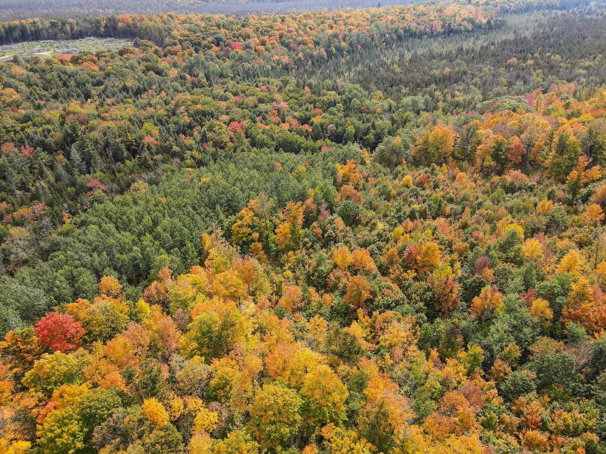 72281 HENNES ROAD, Glidden, Wisconsin 54527, ,Land,For Sale,72281 HENNES ROAD,22601224