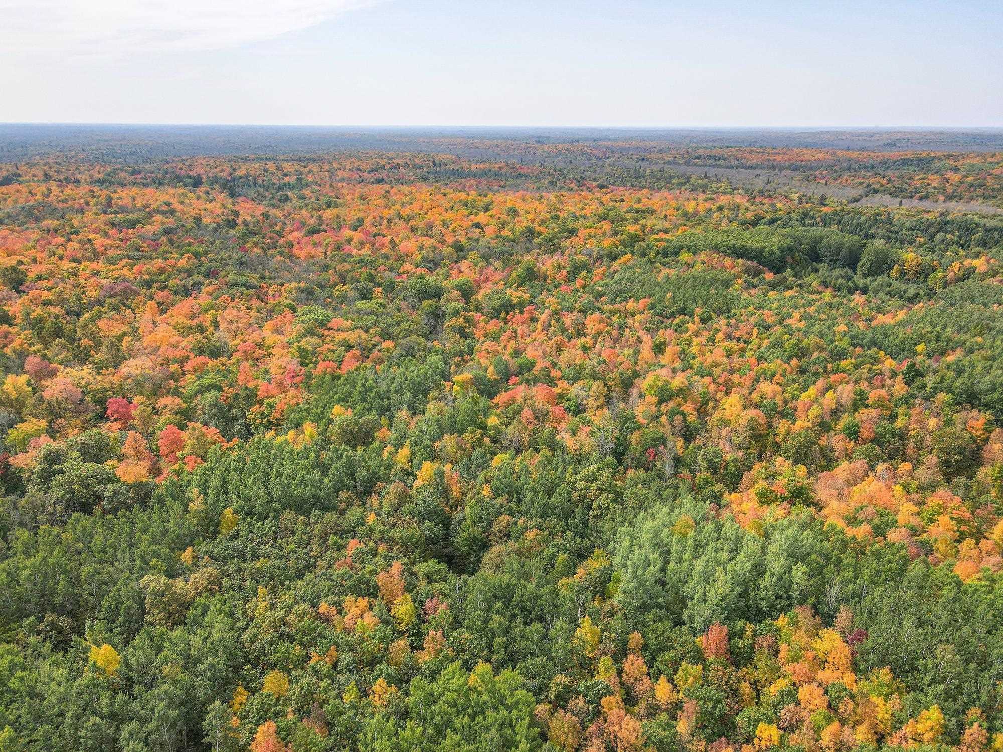 72281 HENNES ROAD, Glidden, Wisconsin 54527, ,Land,For Sale,72281 HENNES ROAD,22601224