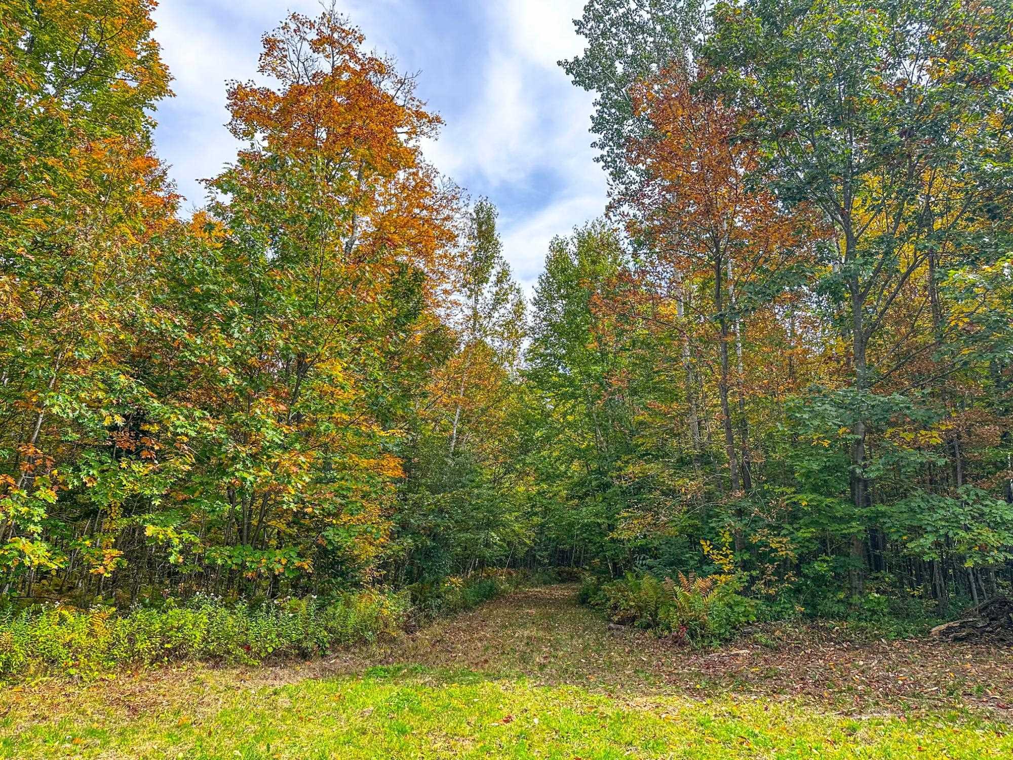 72281 HENNES ROAD, Glidden, Wisconsin 54527, ,Land,For Sale,72281 HENNES ROAD,22601224