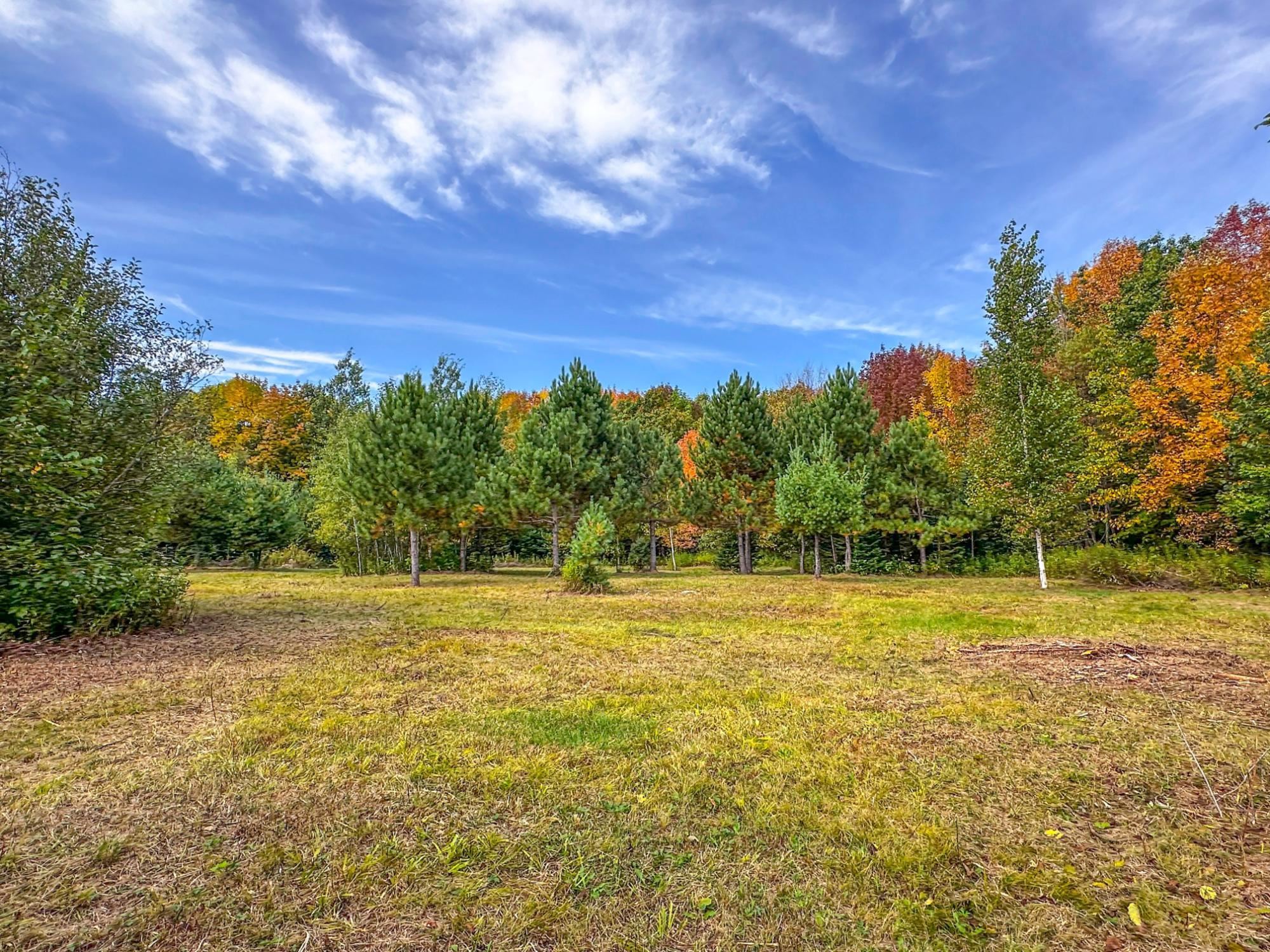 72281 HENNES ROAD, Glidden, Wisconsin 54527, ,Land,For Sale,72281 HENNES ROAD,22601224