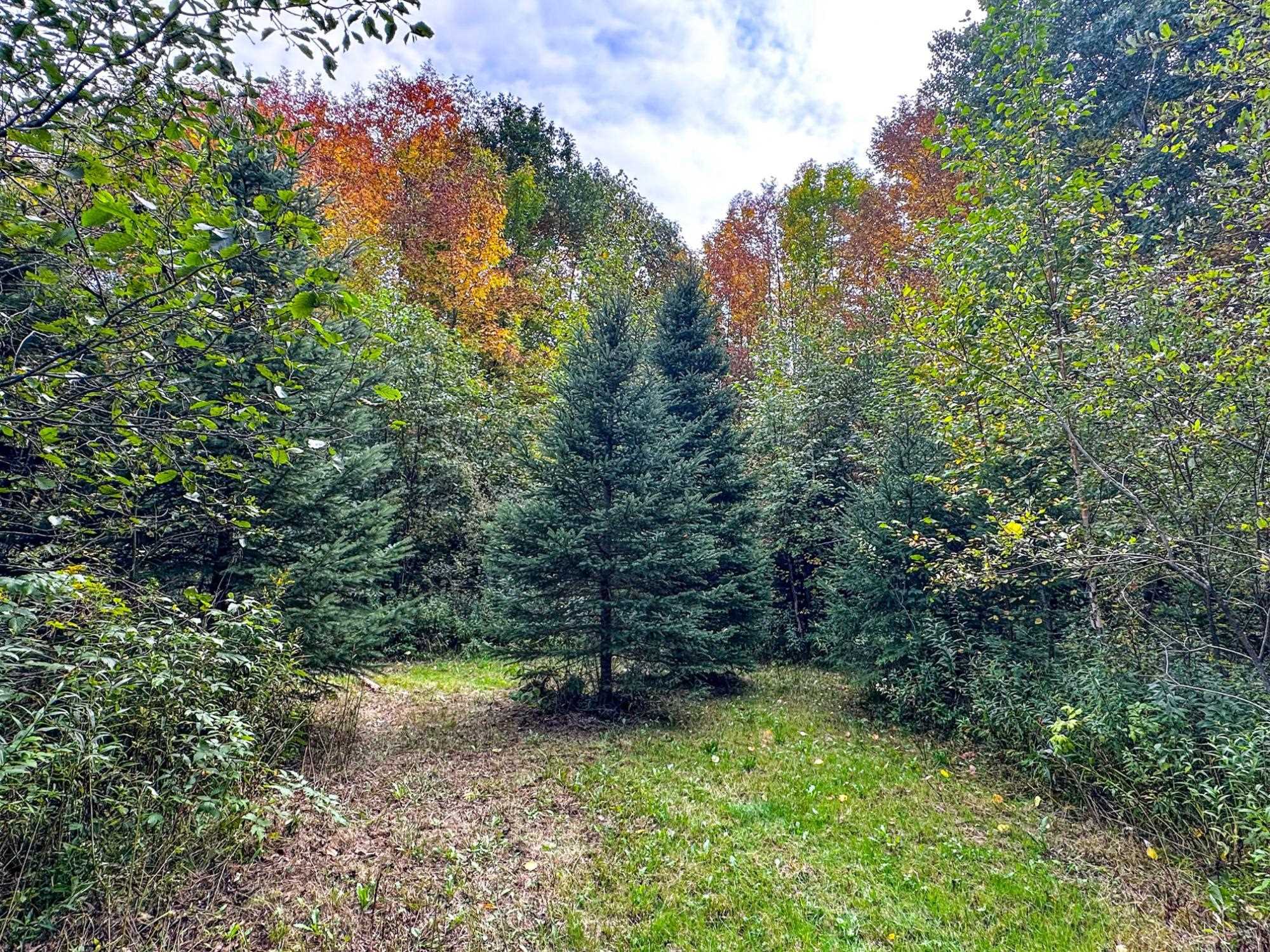 72281 HENNES ROAD, Glidden, Wisconsin 54527, ,Land,For Sale,72281 HENNES ROAD,22601224
