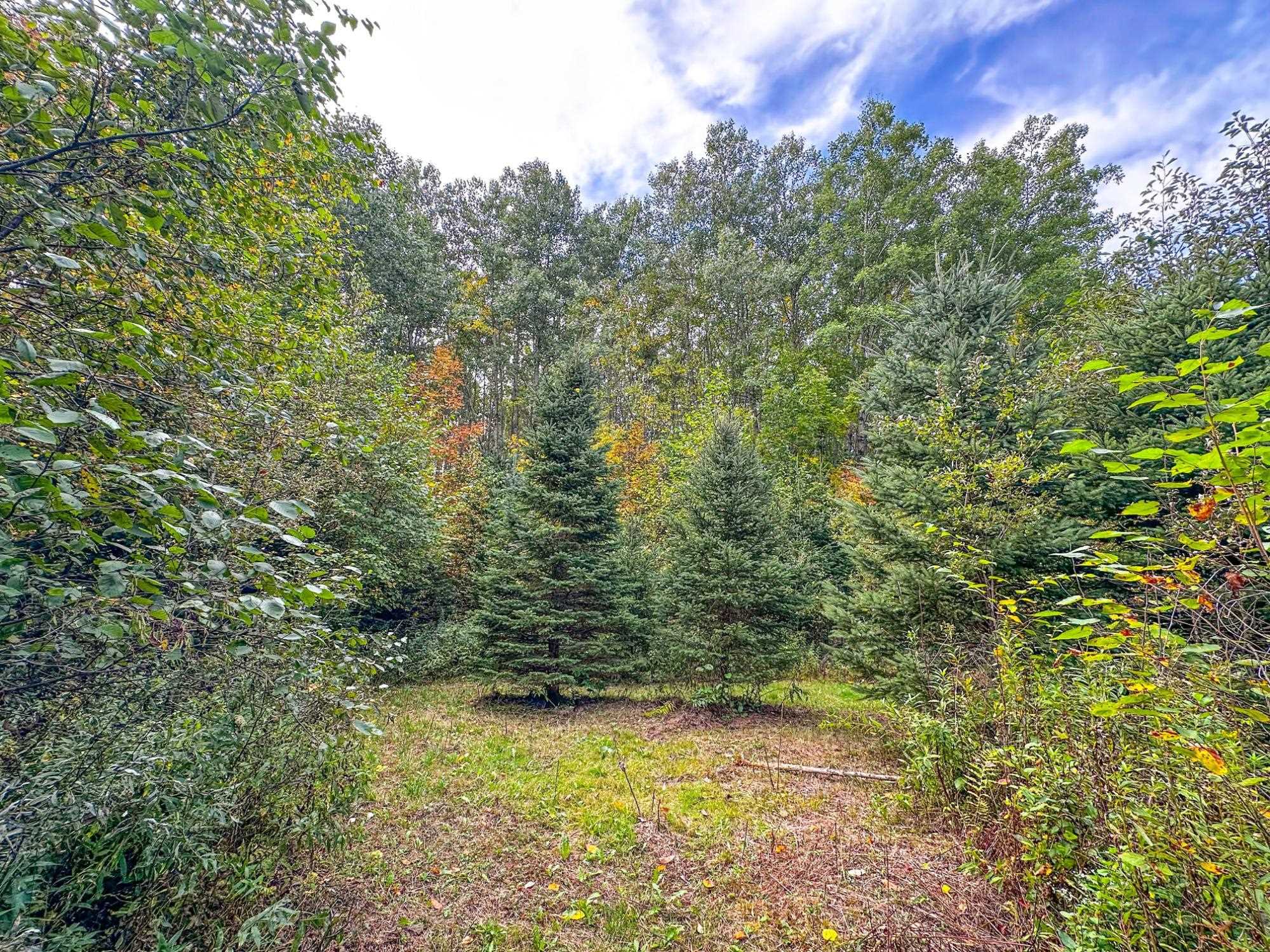 72281 HENNES ROAD, Glidden, Wisconsin 54527, ,Land,For Sale,72281 HENNES ROAD,22601224