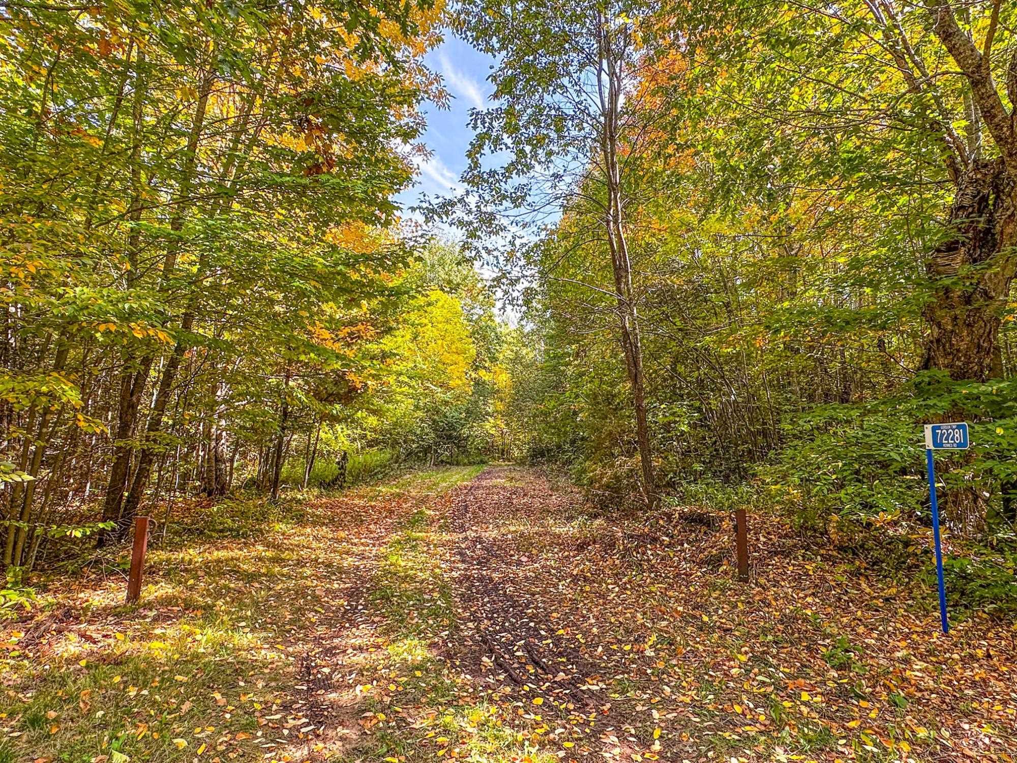 72281 HENNES ROAD, Glidden, Wisconsin 54527, ,Land,For Sale,72281 HENNES ROAD,22601224