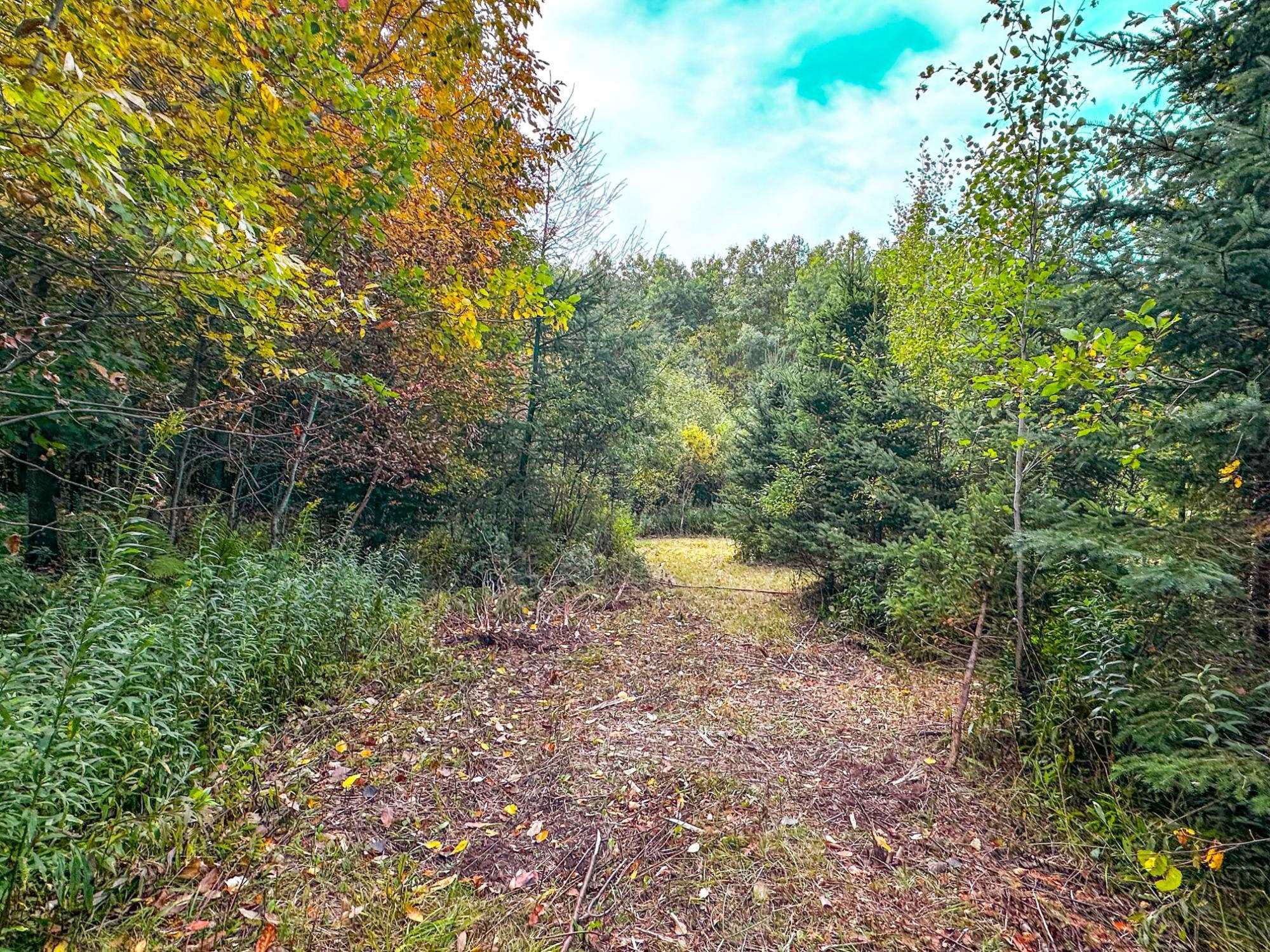 72281 HENNES ROAD, Glidden, Wisconsin 54527, ,Land,For Sale,72281 HENNES ROAD,22601224