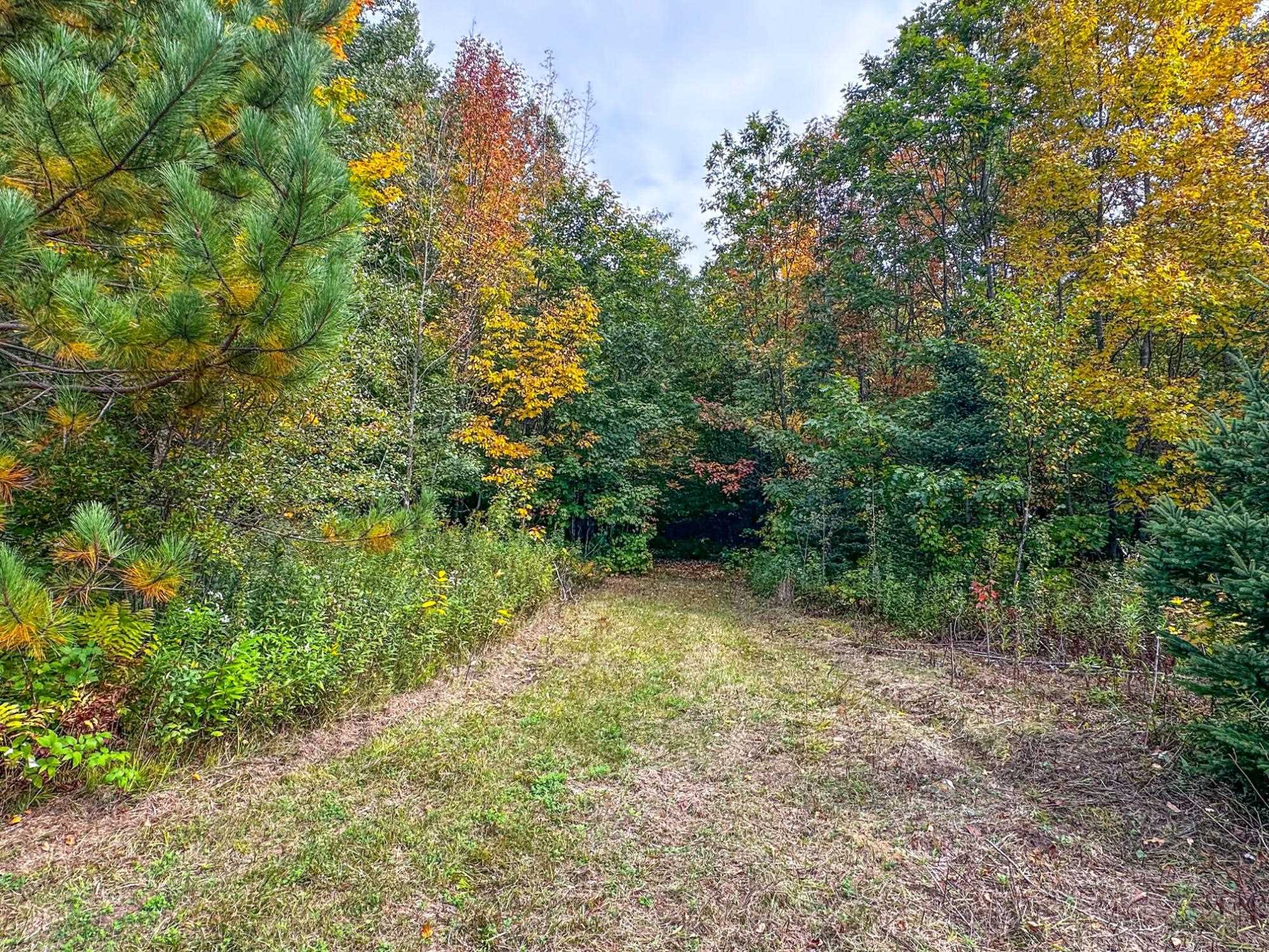 72281 HENNES ROAD, Glidden, Wisconsin 54527, ,Land,For Sale,72281 HENNES ROAD,22601224