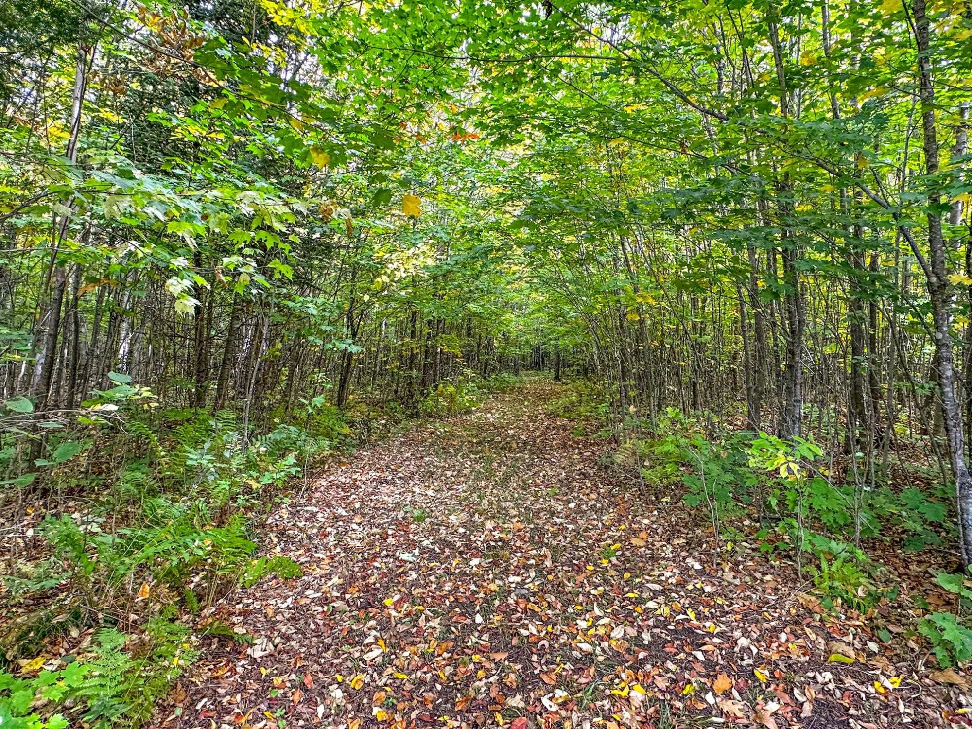 72281 HENNES ROAD, Glidden, Wisconsin 54527, ,Land,For Sale,72281 HENNES ROAD,22601224