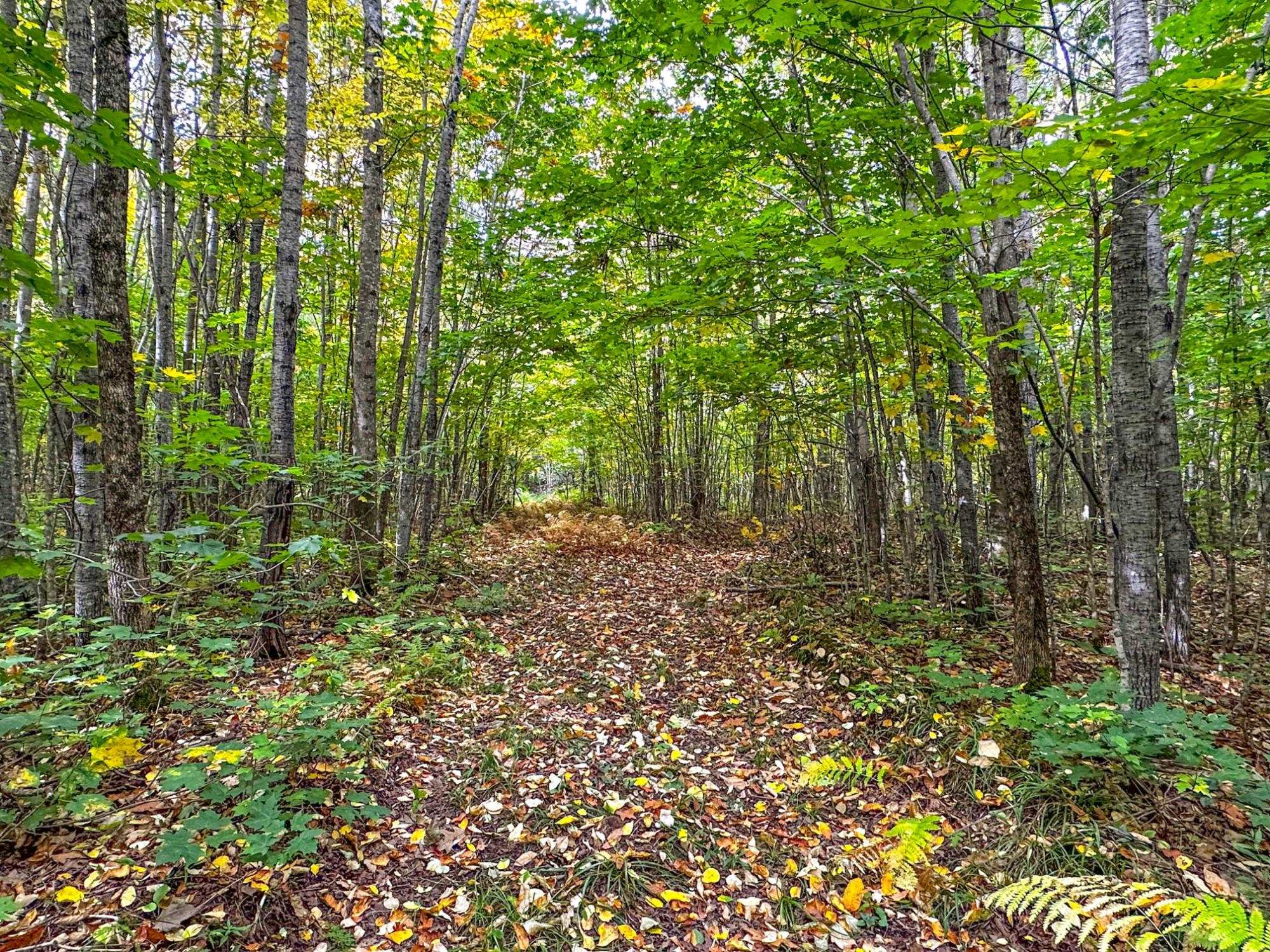 72281 HENNES ROAD, Glidden, Wisconsin 54527, ,Land,For Sale,72281 HENNES ROAD,22601224