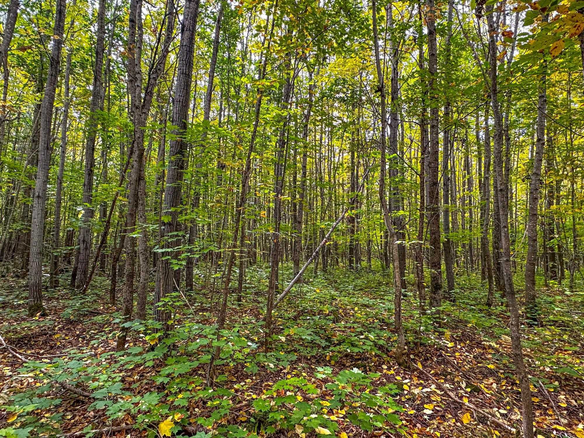 72281 HENNES ROAD, Glidden, Wisconsin 54527, ,Land,For Sale,72281 HENNES ROAD,22601224