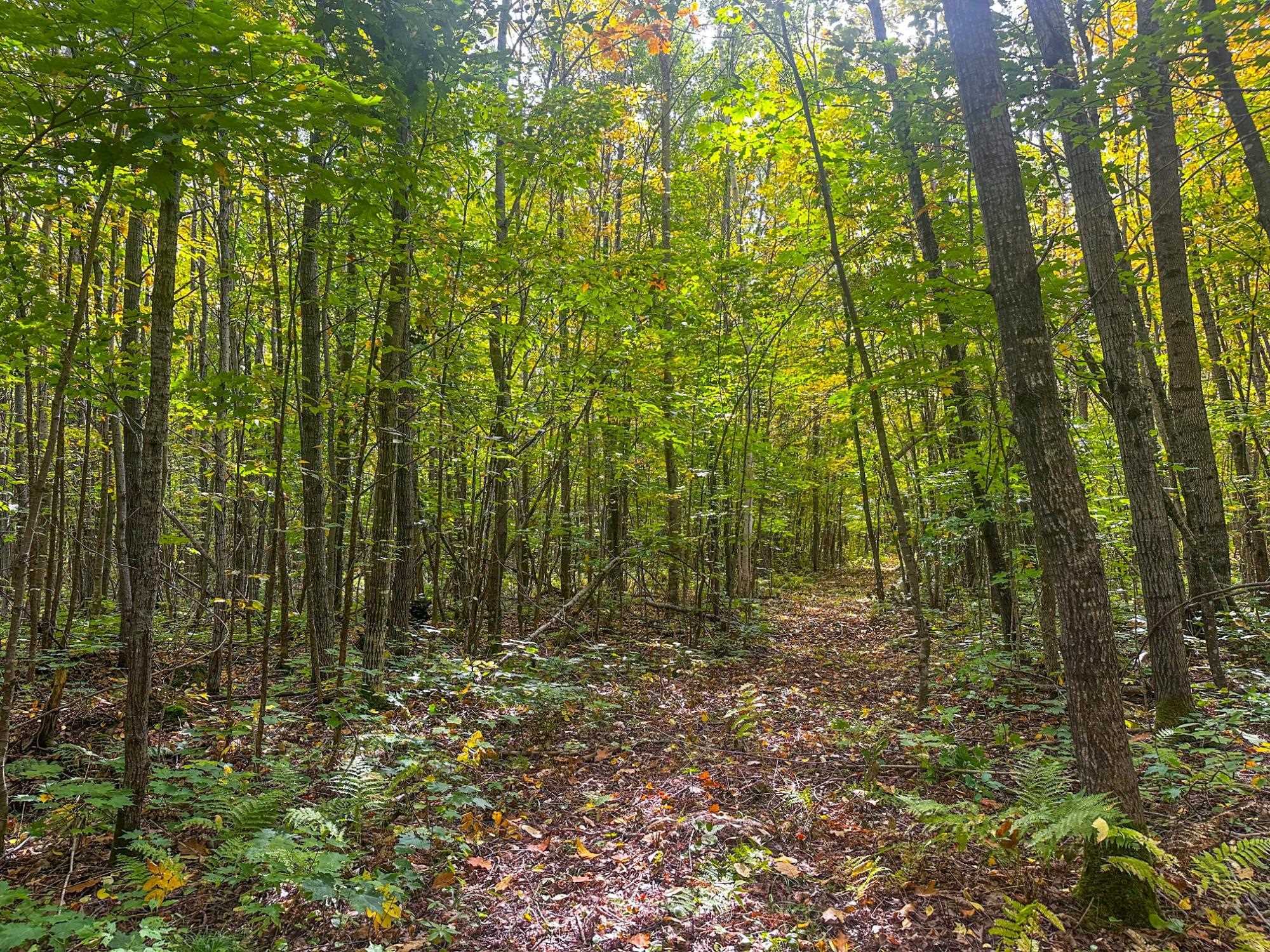 72281 HENNES ROAD, Glidden, Wisconsin 54527, ,Land,For Sale,72281 HENNES ROAD,22601224