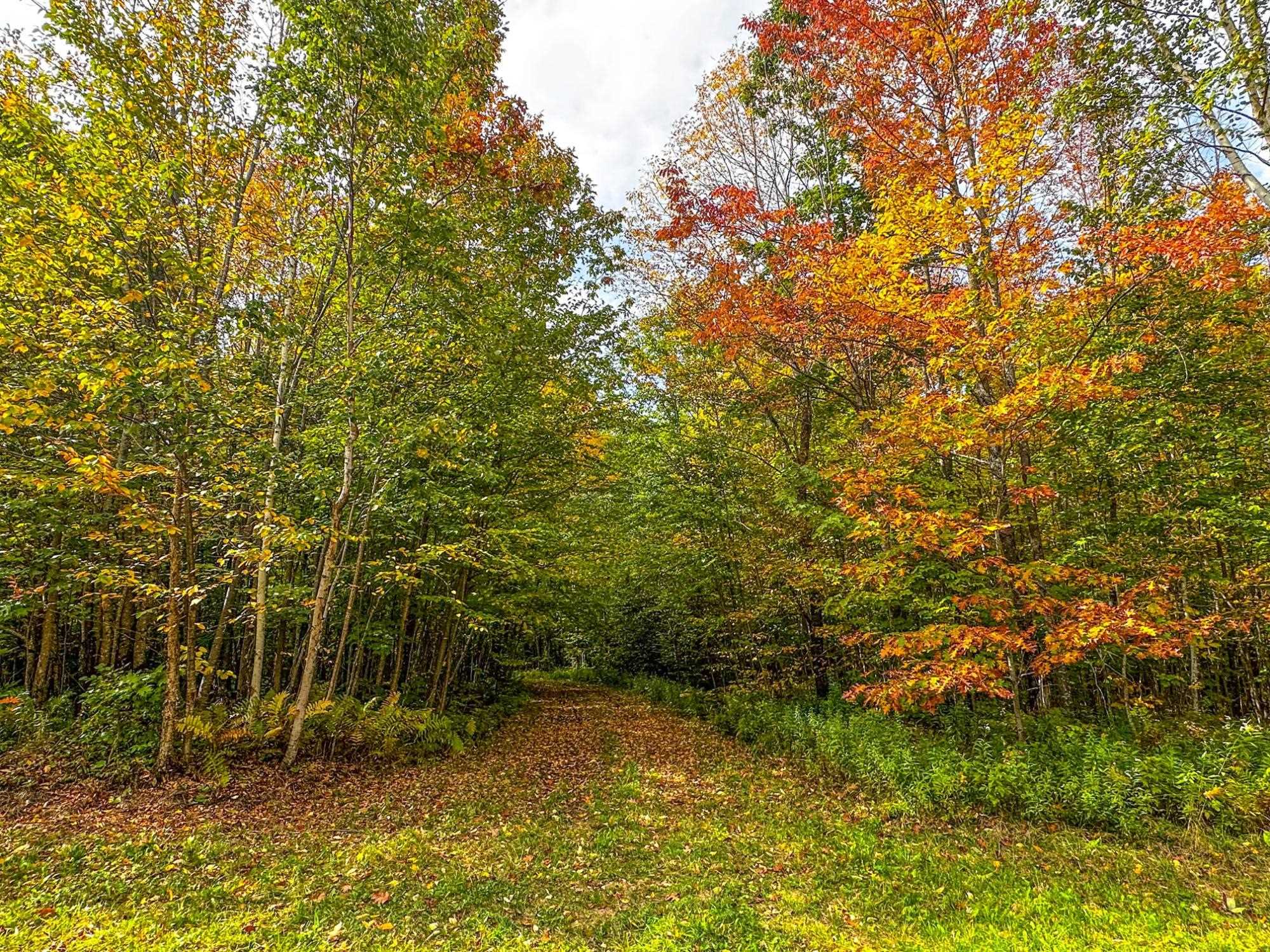 72281 HENNES ROAD, Glidden, Wisconsin 54527, ,Land,For Sale,72281 HENNES ROAD,22601224