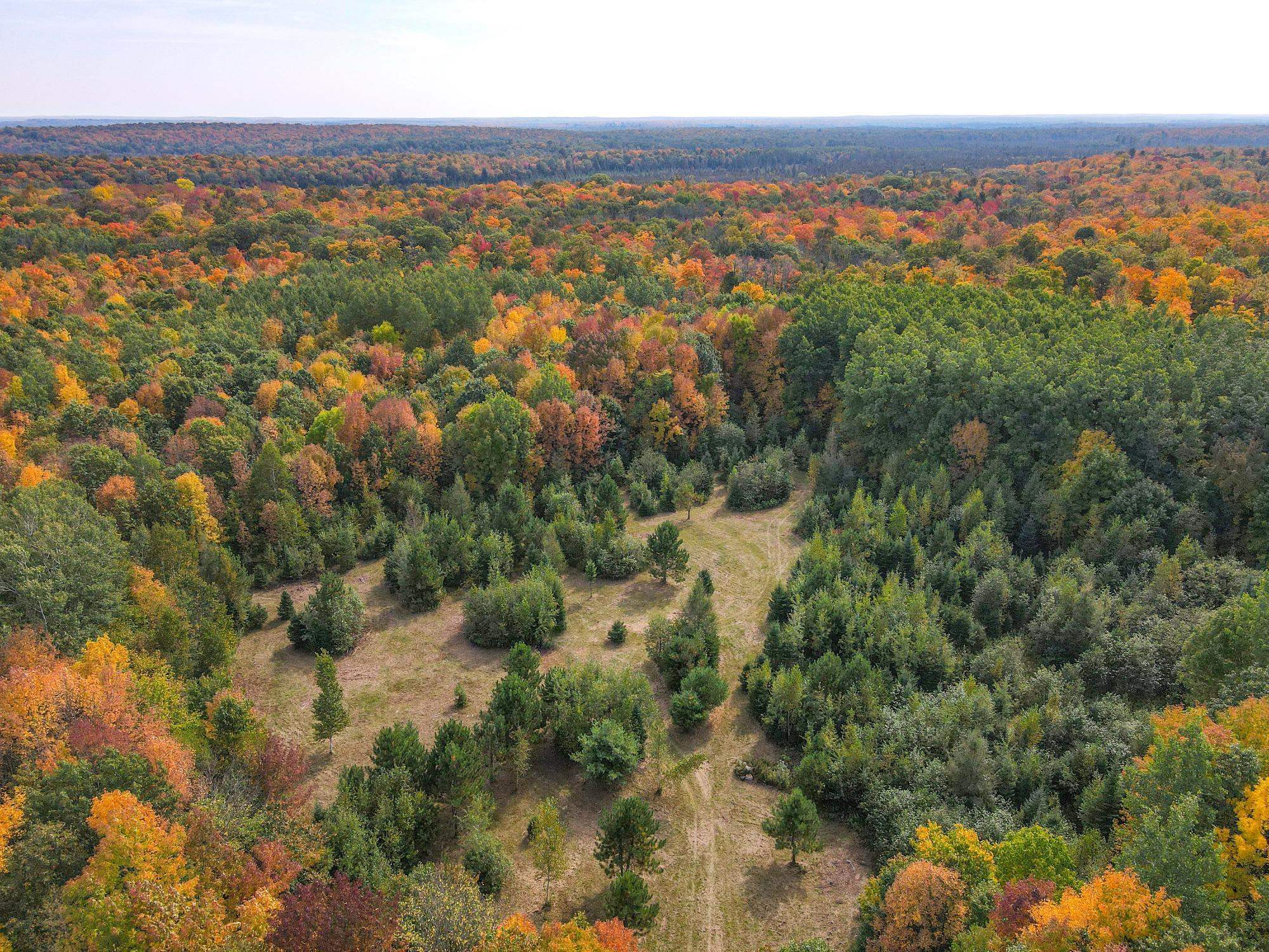 72281 HENNES ROAD, Glidden, Wisconsin 54527, ,Land,For Sale,72281 HENNES ROAD,22601224
