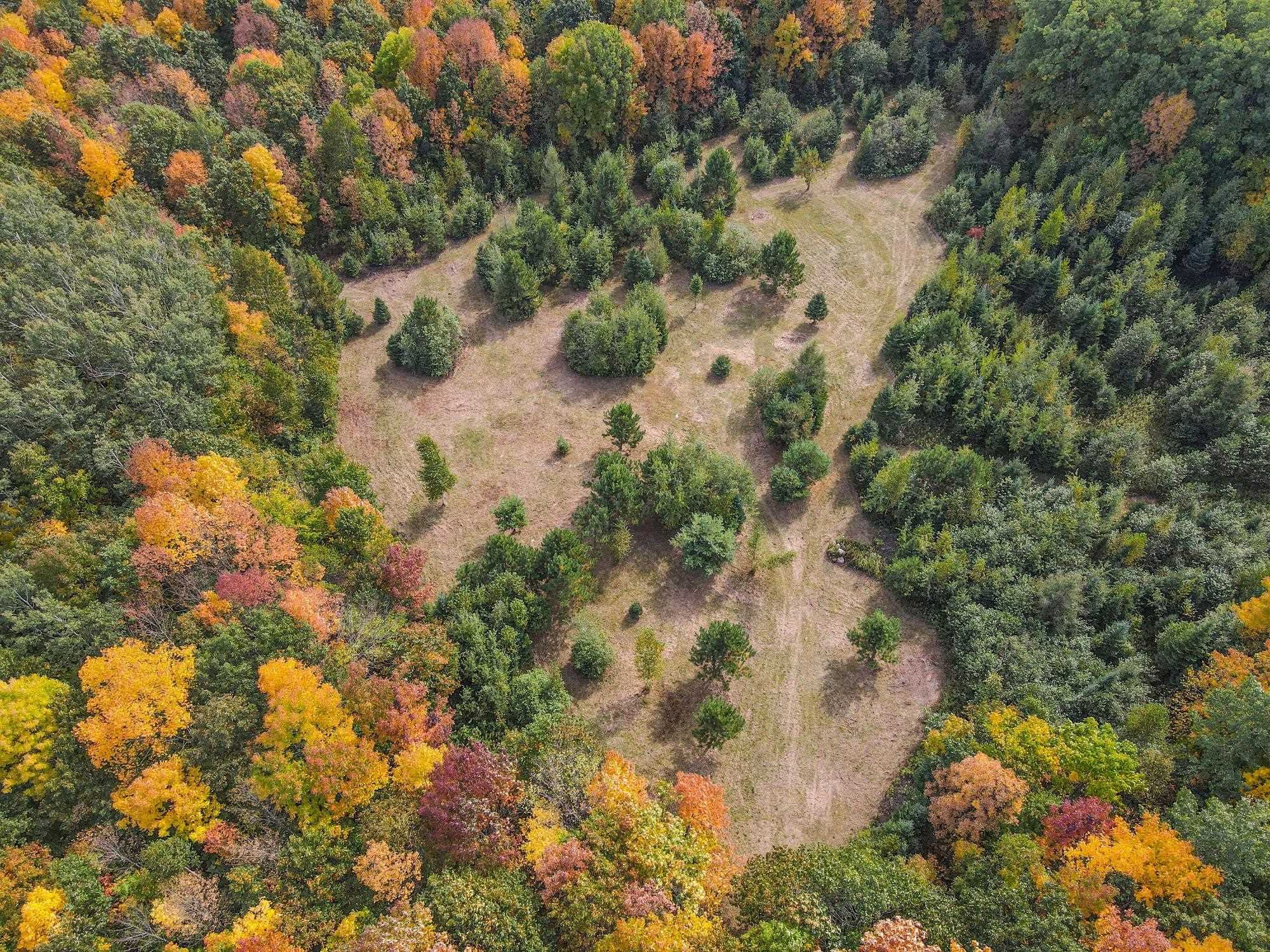 72281 HENNES ROAD, Glidden, Wisconsin 54527, ,Land,For Sale,72281 HENNES ROAD,22601224