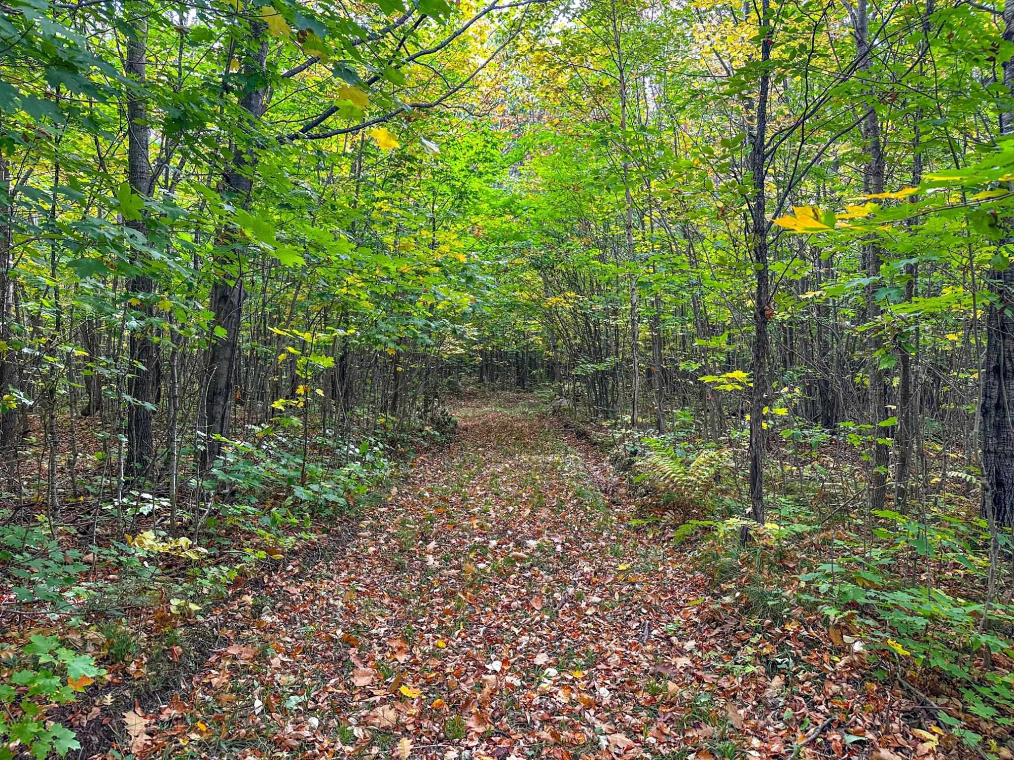 72281 HENNES ROAD, Glidden, Wisconsin 54527, ,Land,For Sale,72281 HENNES ROAD,22601224