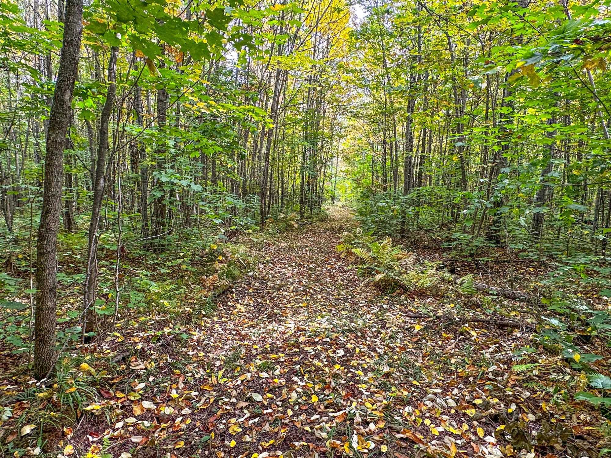 72281 HENNES ROAD, Glidden, Wisconsin 54527, ,Land,For Sale,72281 HENNES ROAD,22601224
