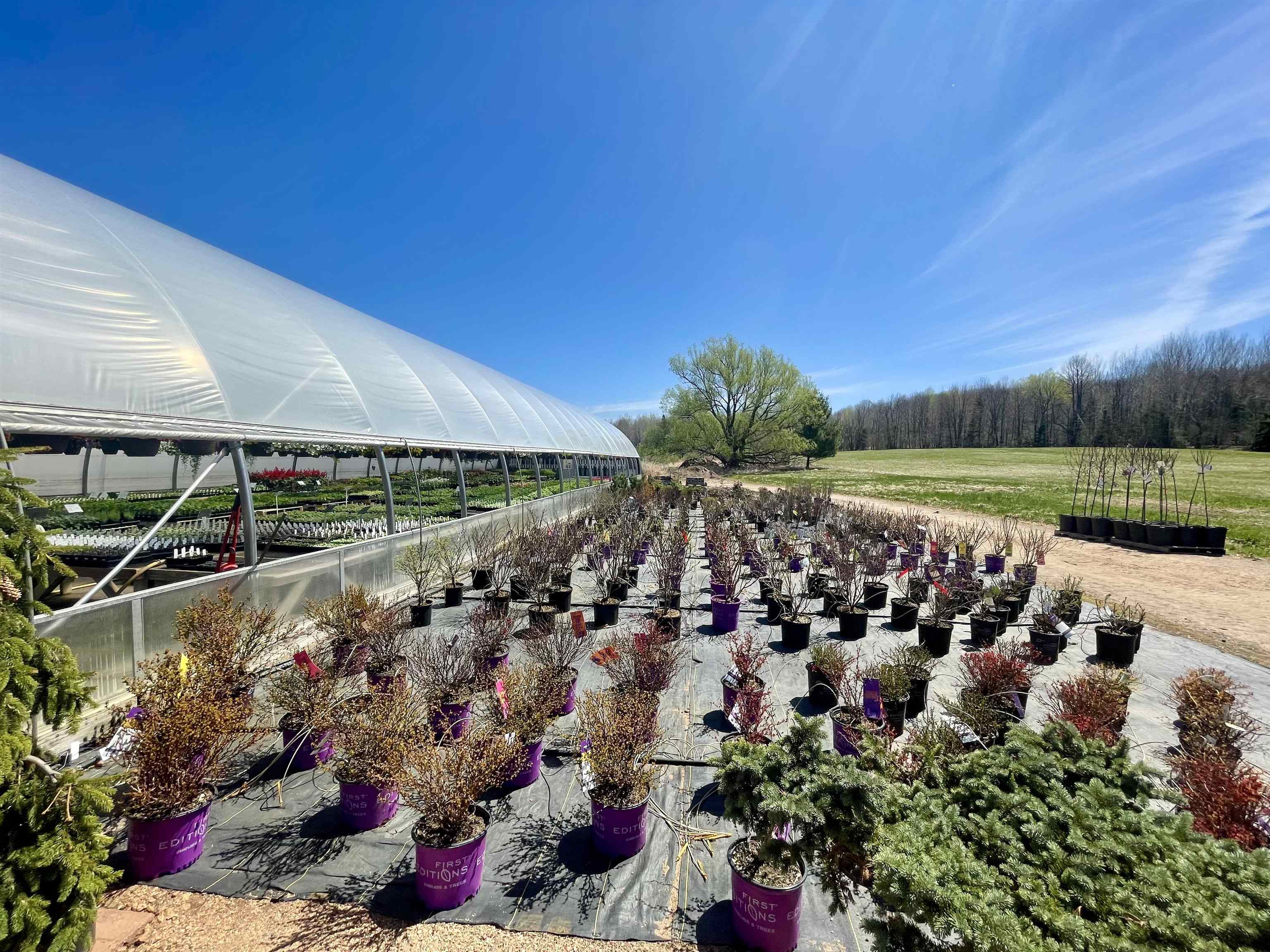 N7890 STATE HIGHWAY 13, Phillips, Wisconsin 54555, ,Commercial/industrial,For Sale,N7890 STATE HIGHWAY 13,22601250