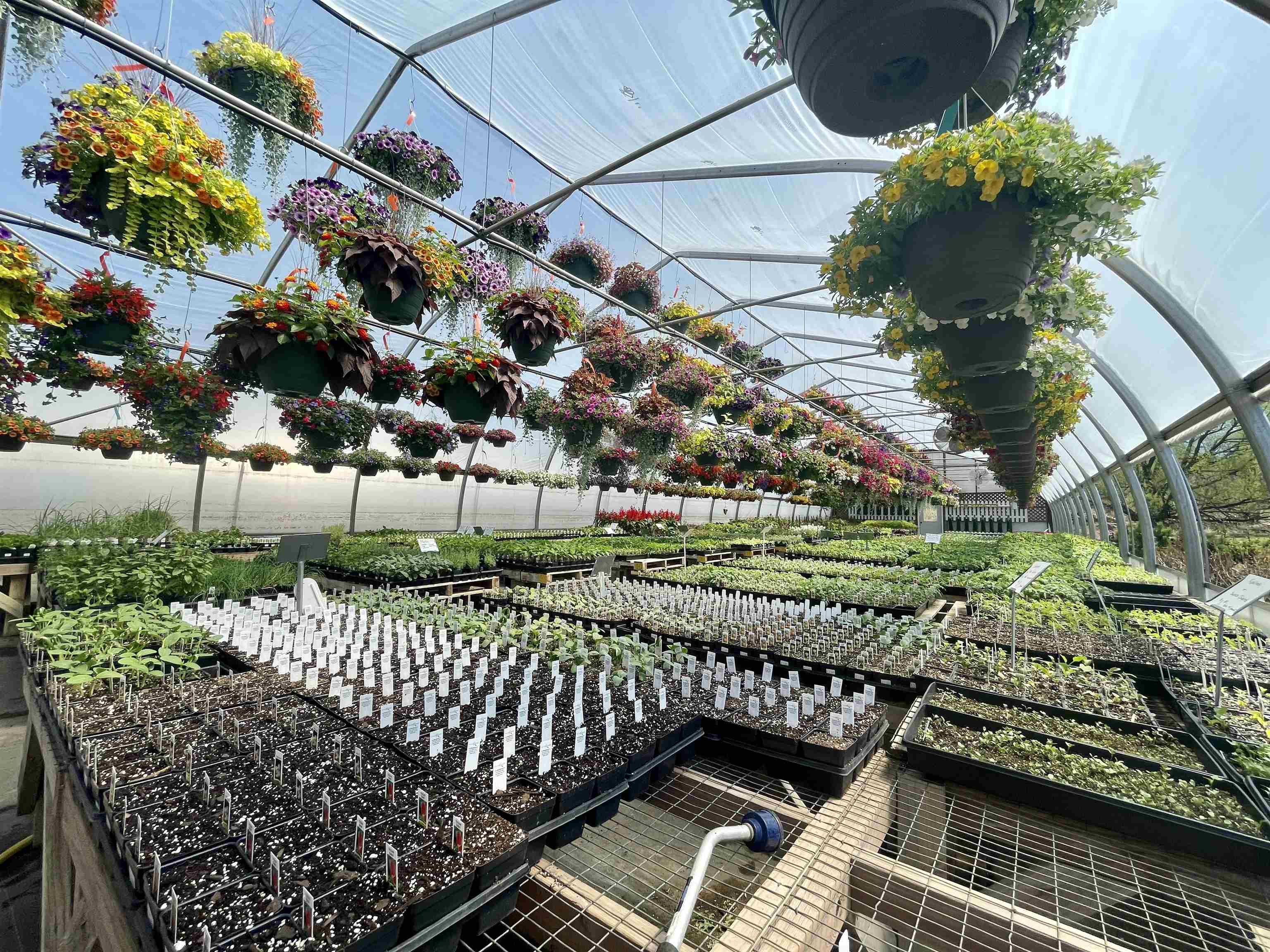 N7890 STATE HIGHWAY 13, Phillips, Wisconsin 54555, ,Commercial/industrial,For Sale,N7890 STATE HIGHWAY 13,22601250