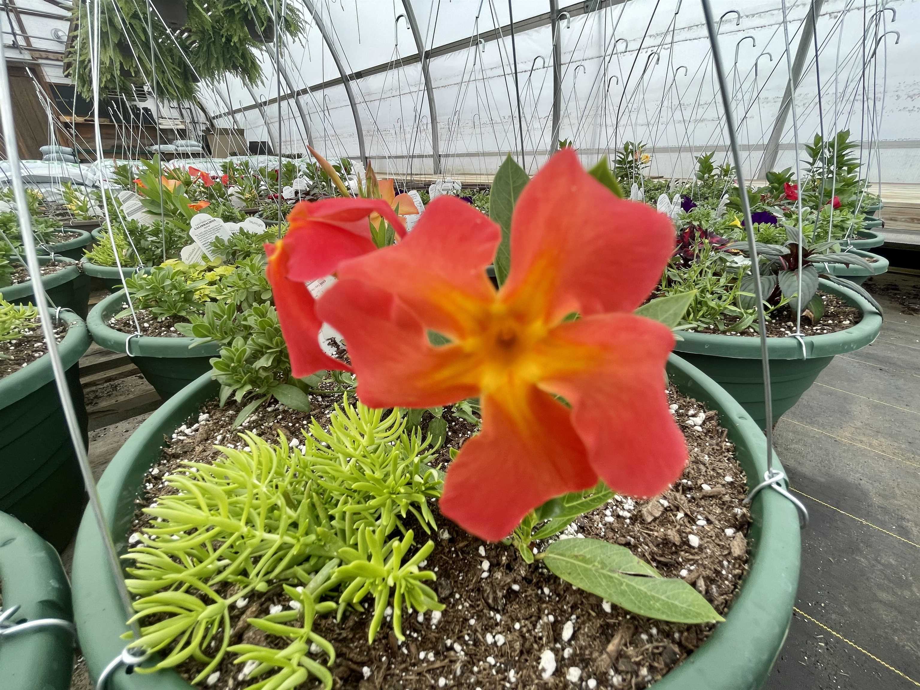 N7890 STATE HIGHWAY 13, Phillips, Wisconsin 54555, ,Commercial/industrial,For Sale,N7890 STATE HIGHWAY 13,22601250