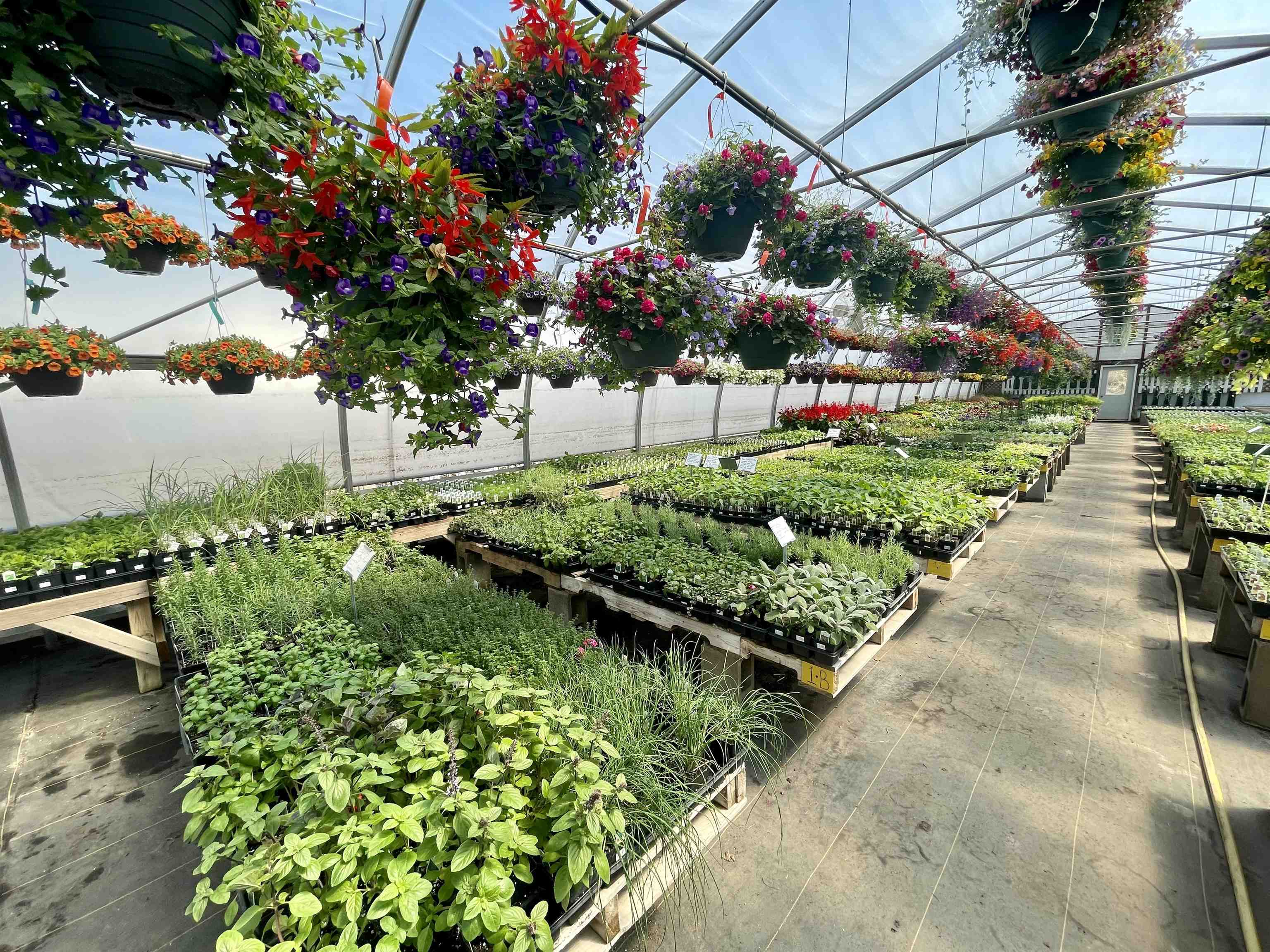 N7890 STATE HIGHWAY 13, Phillips, Wisconsin 54555, ,Commercial/industrial,For Sale,N7890 STATE HIGHWAY 13,22601250