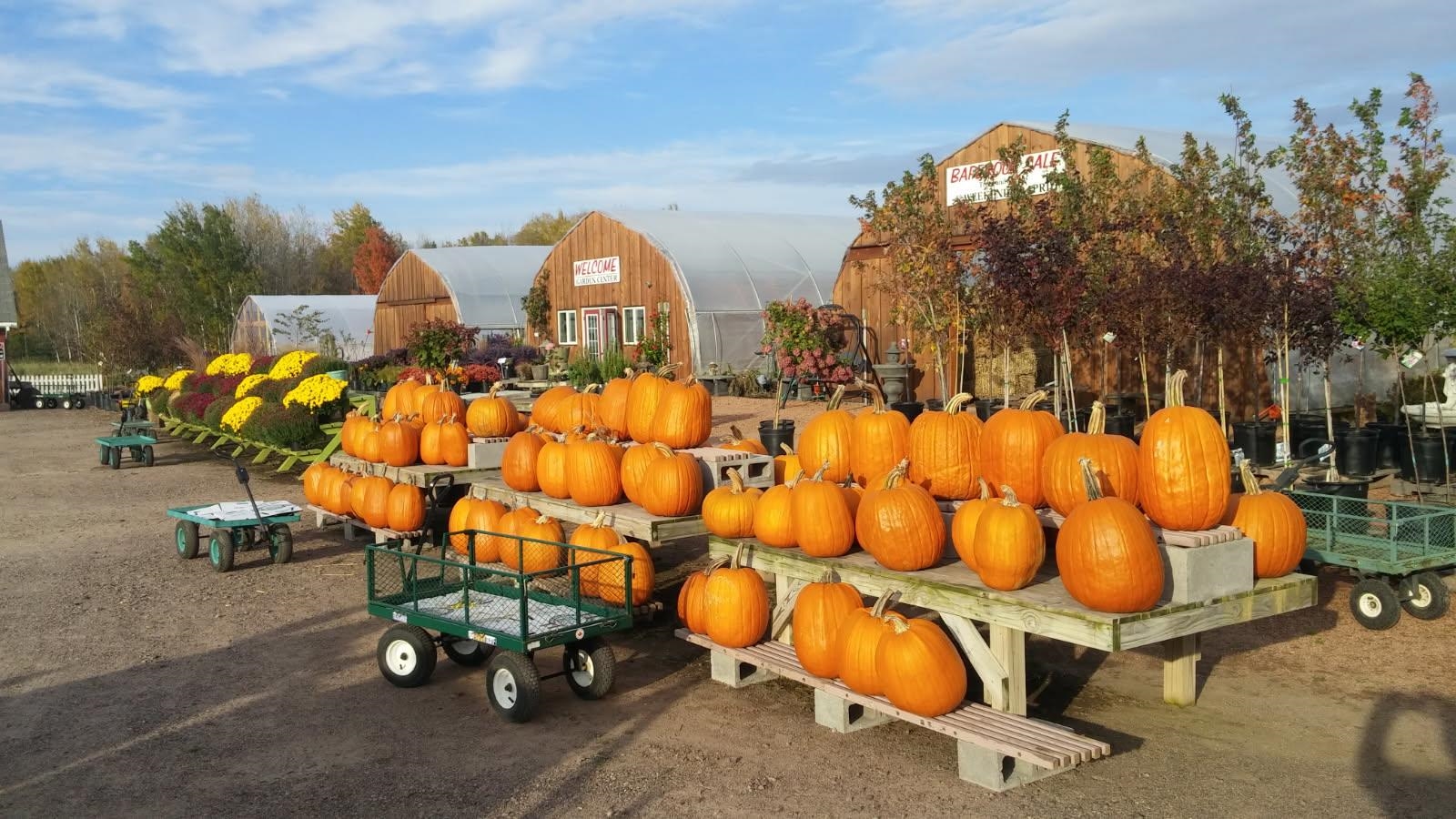 N7890 STATE HIGHWAY 13, Phillips, Wisconsin 54555, ,Commercial/industrial,For Sale,N7890 STATE HIGHWAY 13,22601250