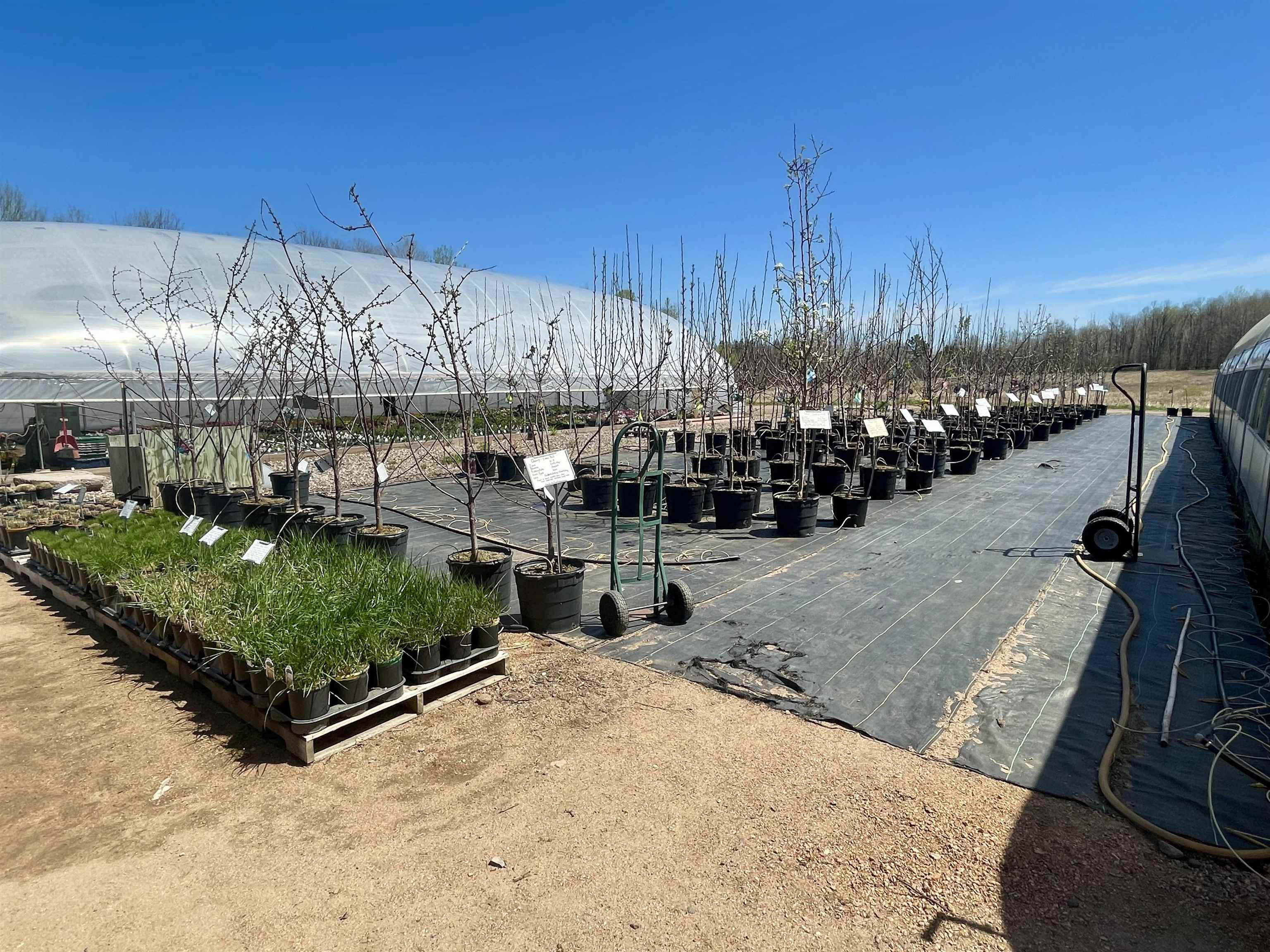 N7890 STATE HIGHWAY 13, Phillips, Wisconsin 54555, ,Commercial/industrial,For Sale,N7890 STATE HIGHWAY 13,22601250