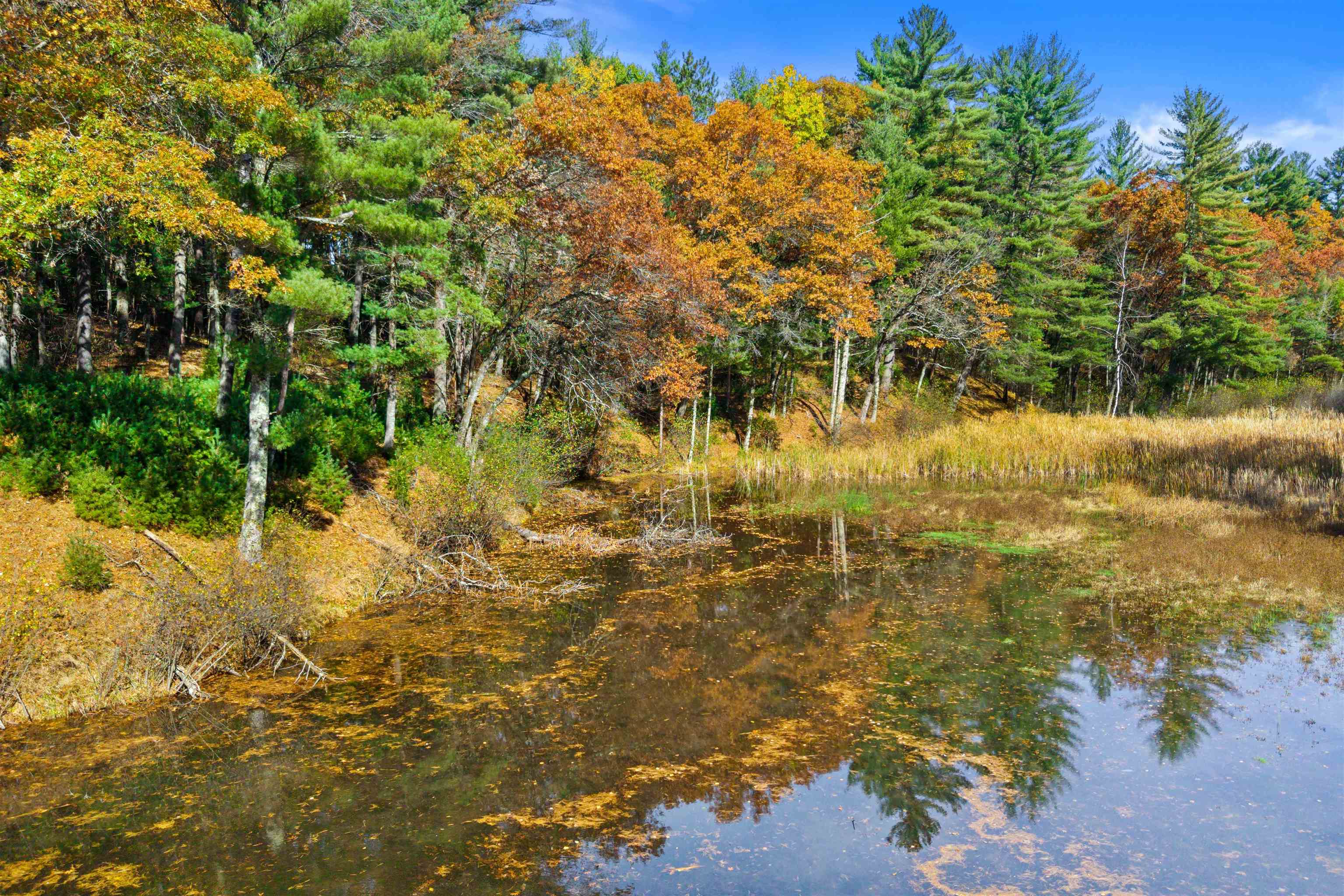 Lot 54 FLY ROD TRAIL, Wisconsin Rapids, Wisconsin 54494, ,Land,For Sale,Lot 54 FLY ROD TRAIL,22601257