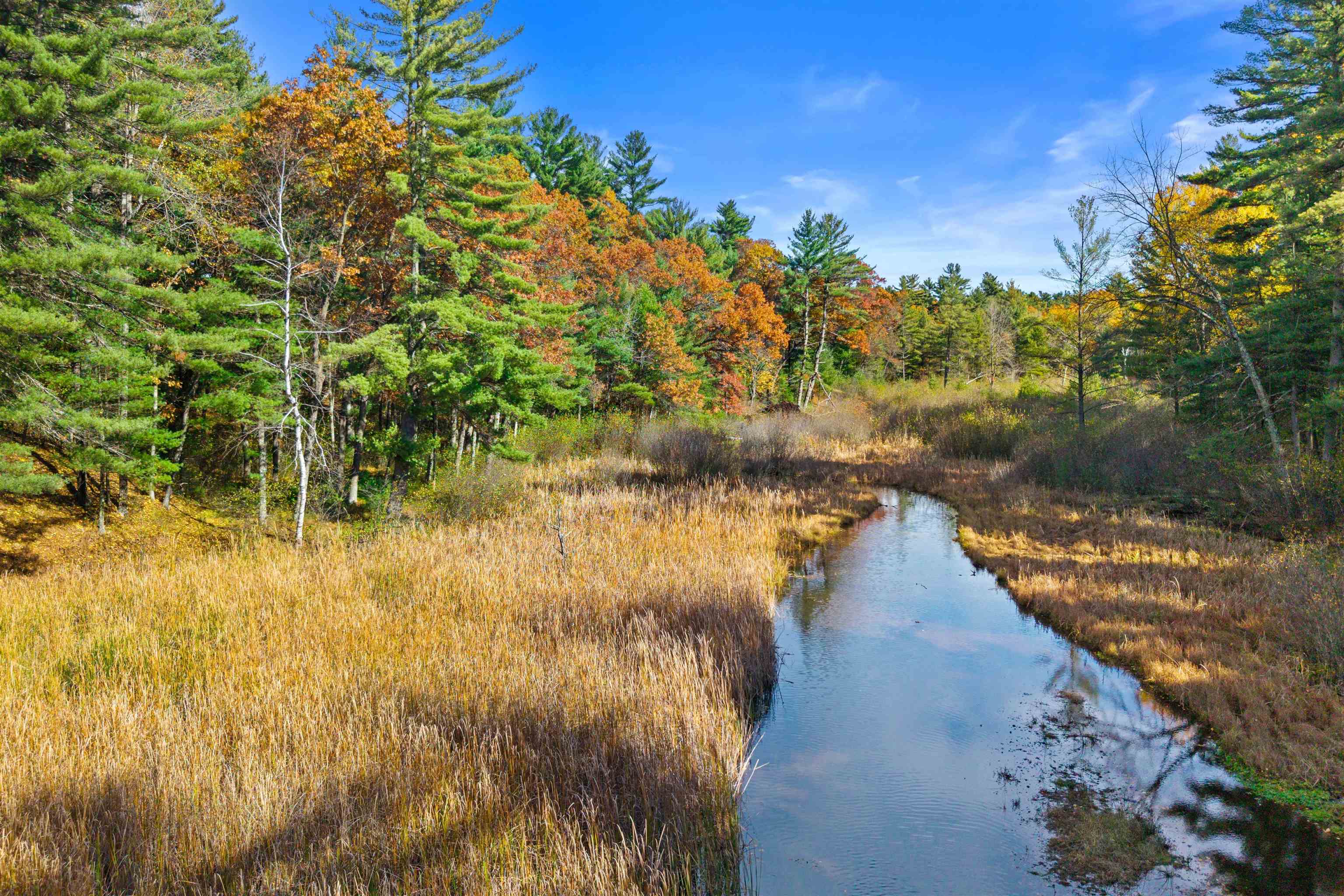 Lot 54 FLY ROD TRAIL, Wisconsin Rapids, Wisconsin 54494, ,Land,For Sale,Lot 54 FLY ROD TRAIL,22601257