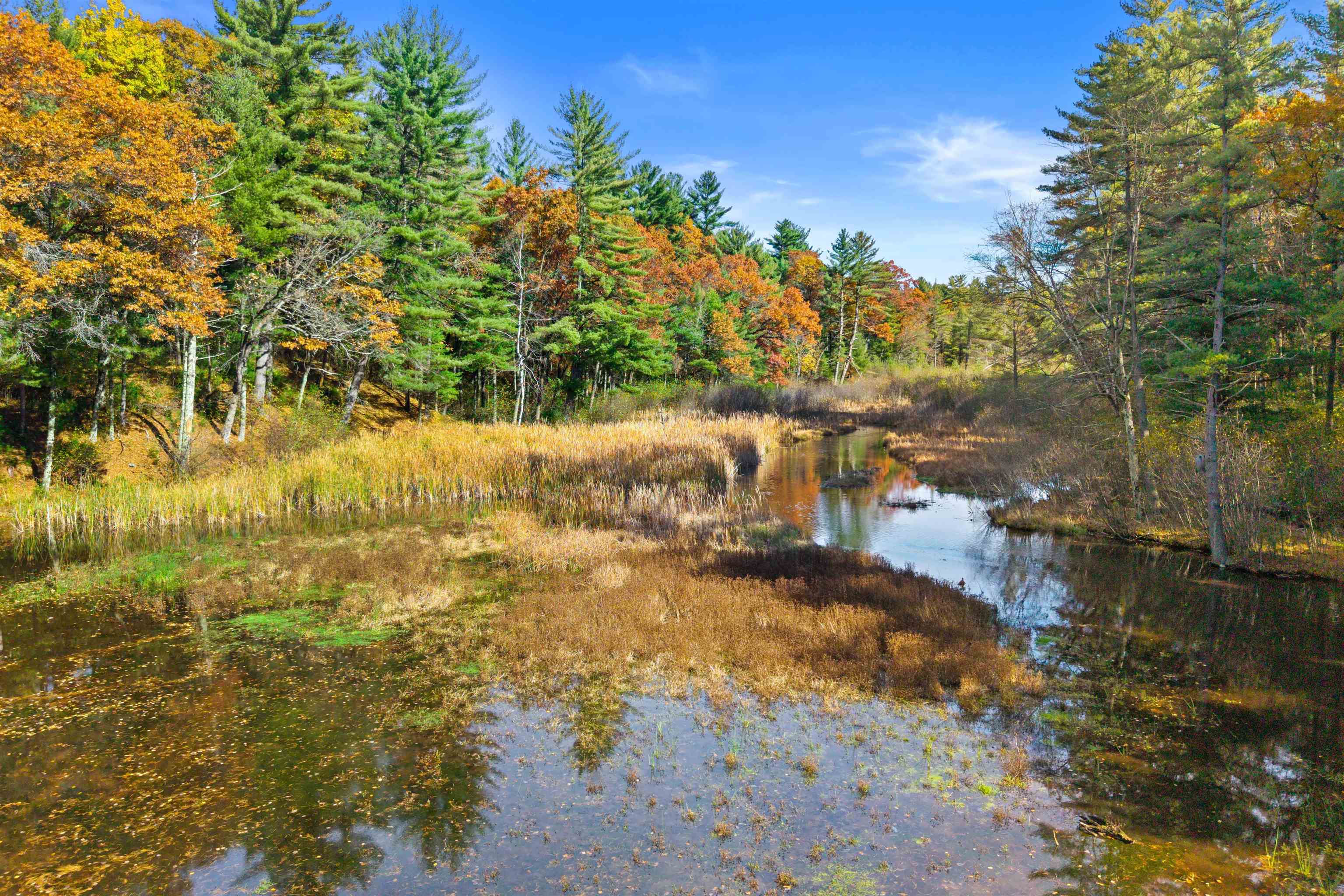 Lot 55 FLY ROD TRAIL, Wisconsin Rapids, Wisconsin 54494, ,Land,For Sale,Lot 55 FLY ROD TRAIL,22601258