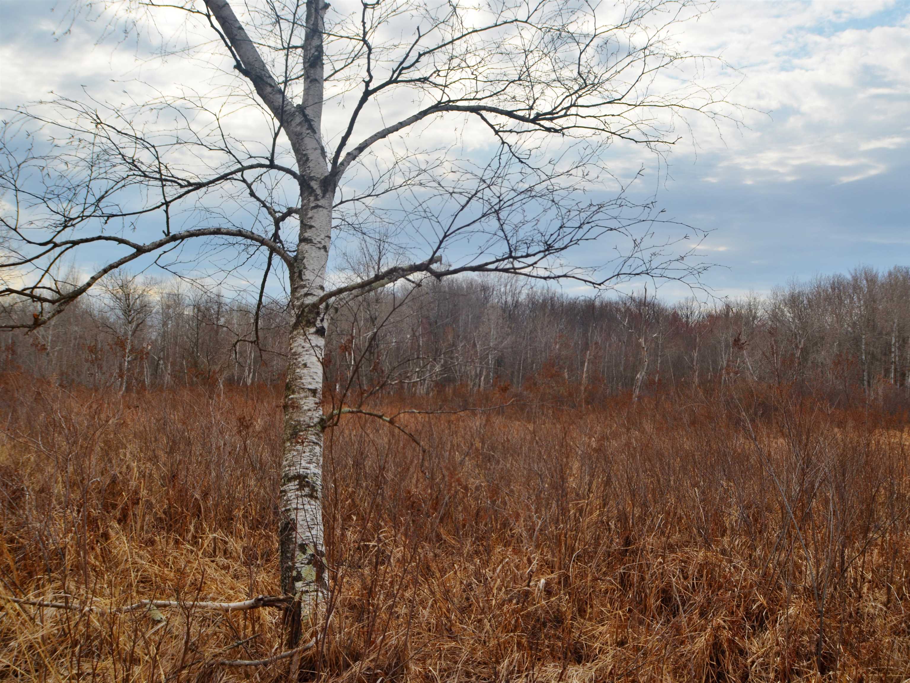 5404 YETTER ROAD, Pittsville, Wisconsin 54466-9717, 4 Bedrooms Bedrooms, ,3 BathroomsBathrooms,Residential,For Sale,5404 YETTER ROAD,22601267