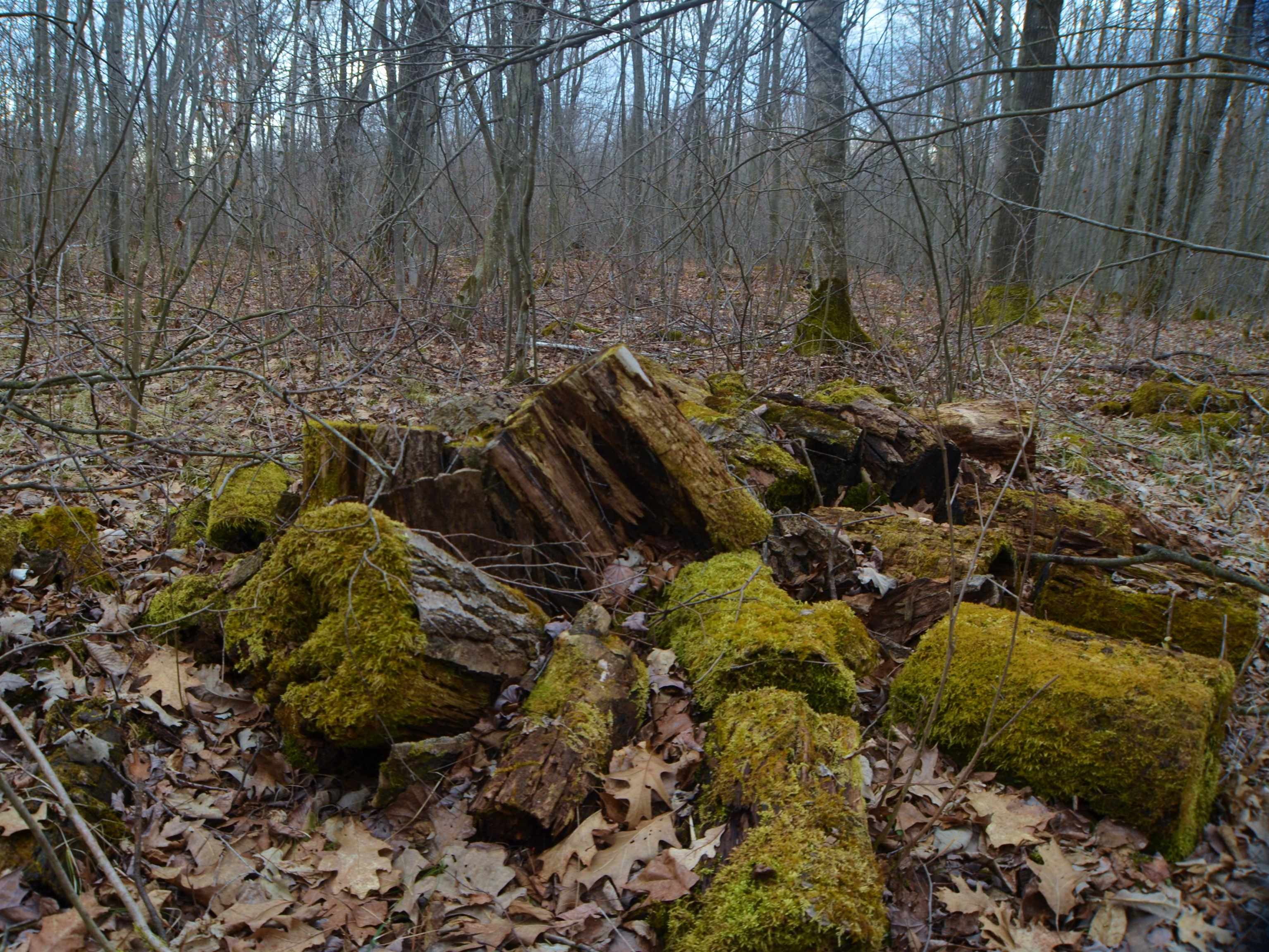 5404 YETTER ROAD, Pittsville, Wisconsin 54466-9717, 4 Bedrooms Bedrooms, ,3 BathroomsBathrooms,Residential,For Sale,5404 YETTER ROAD,22601267