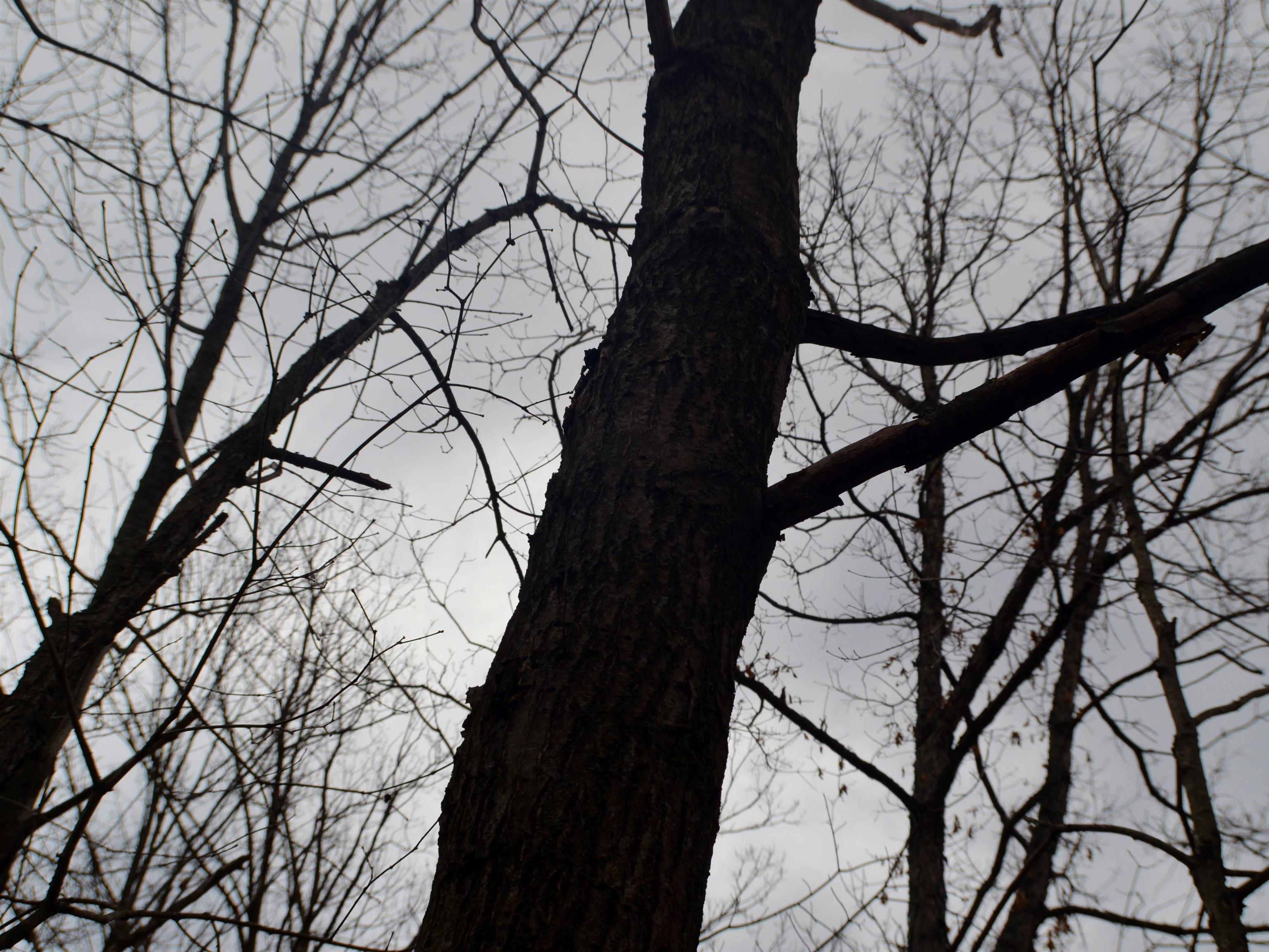 5404 YETTER ROAD, Pittsville, Wisconsin 54466-9717, 4 Bedrooms Bedrooms, ,3 BathroomsBathrooms,Residential,For Sale,5404 YETTER ROAD,22601267