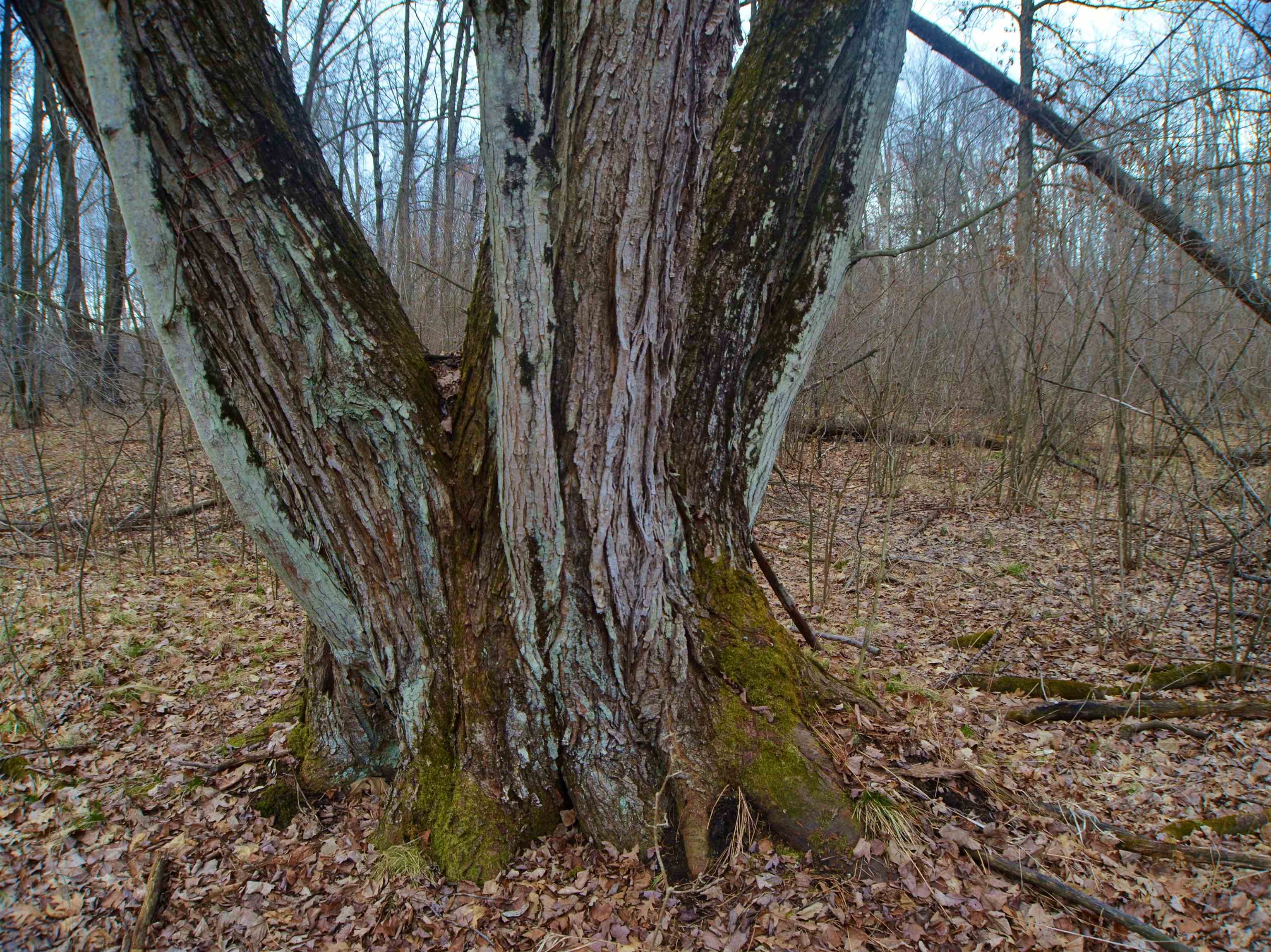 5404 YETTER ROAD, Pittsville, Wisconsin 54466-9717, 4 Bedrooms Bedrooms, ,3 BathroomsBathrooms,Residential,For Sale,5404 YETTER ROAD,22601267