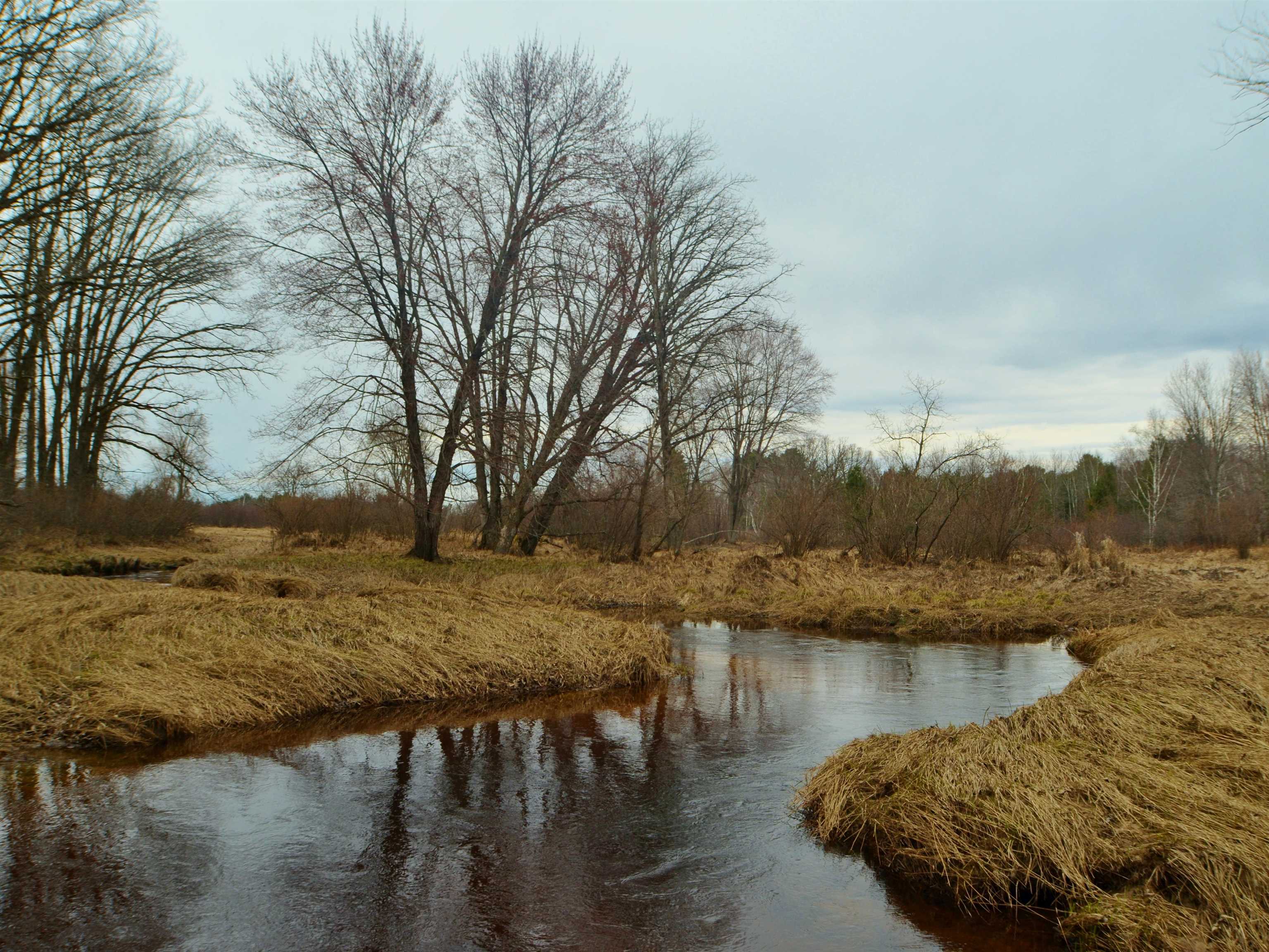 5404 YETTER ROAD, Pittsville, Wisconsin 54466-9717, 4 Bedrooms Bedrooms, ,3 BathroomsBathrooms,Residential,For Sale,5404 YETTER ROAD,22601267
