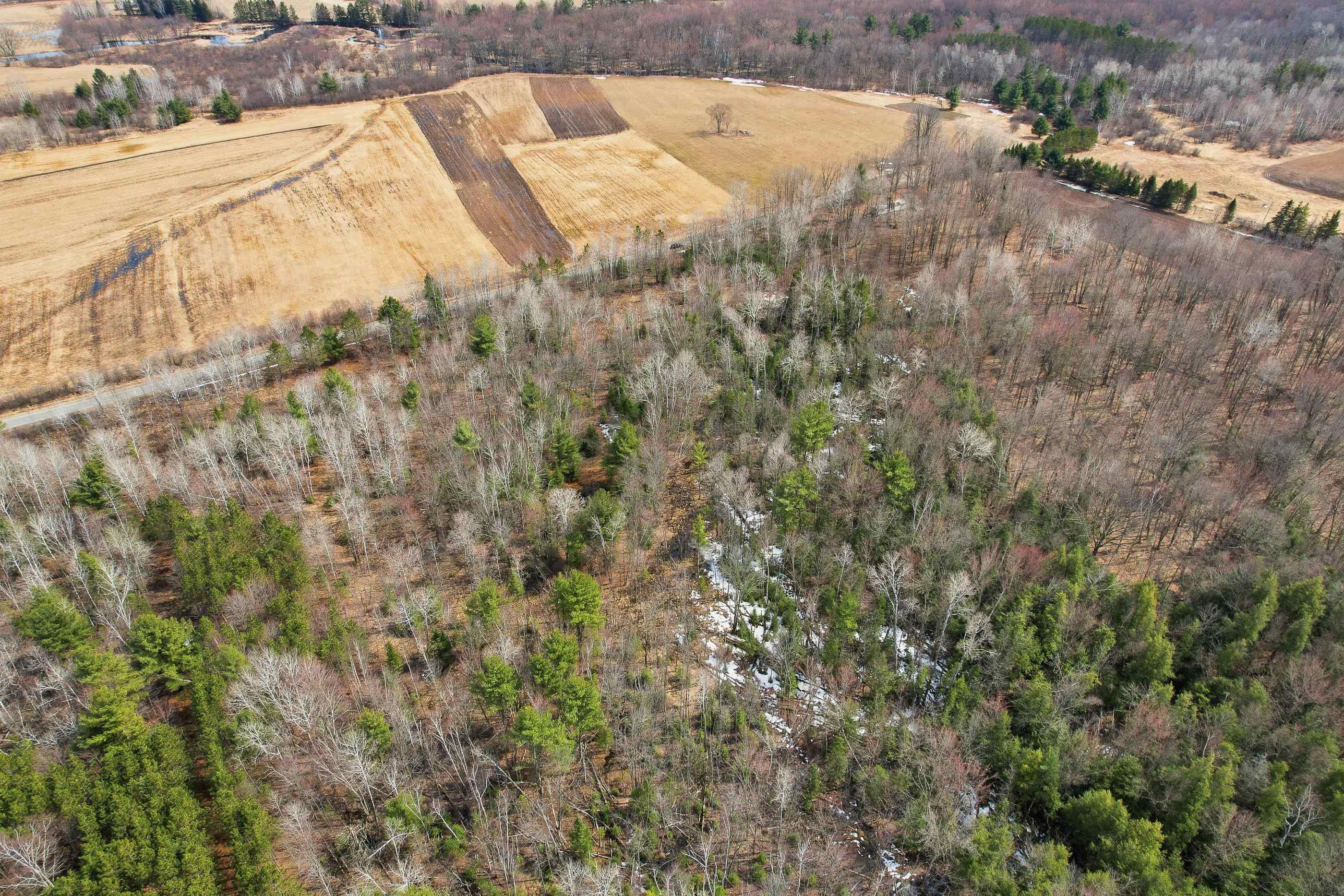 Lot Two GLEN ROAD, Mosinee, Wisconsin 54455, ,Land,For Sale,Lot Two GLEN ROAD,22601270