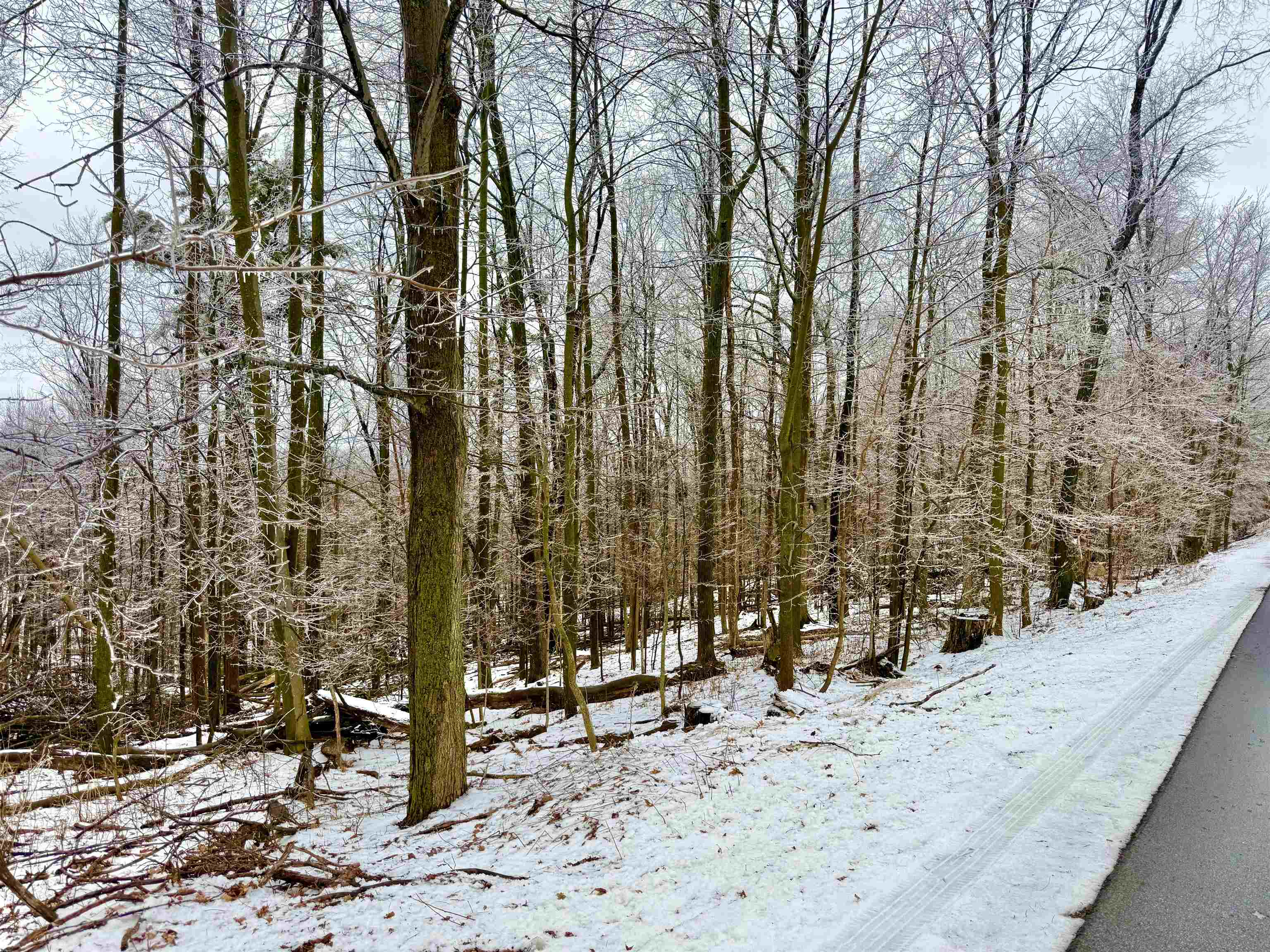 3525 W WAUSAU AVENUE, Wausau, Wisconsin 54401, ,Land,For Sale,3525 W WAUSAU AVENUE,22601286